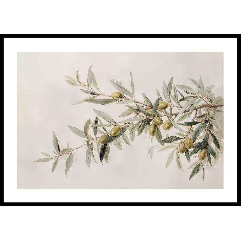 Poster Gallerix Olive Branch Aquarelle