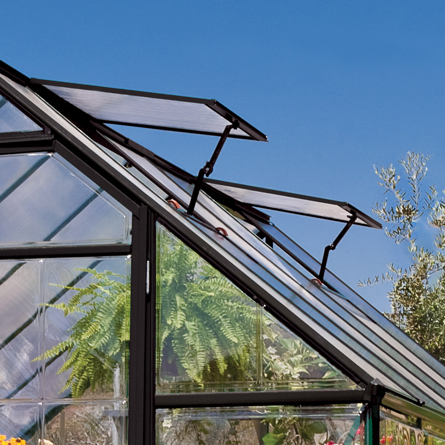 Växthus/Orangeri Canopia by Palram Victory Aluminiumstomme med UV-Skyddade Polykarbonatfönster, 11,04 m²