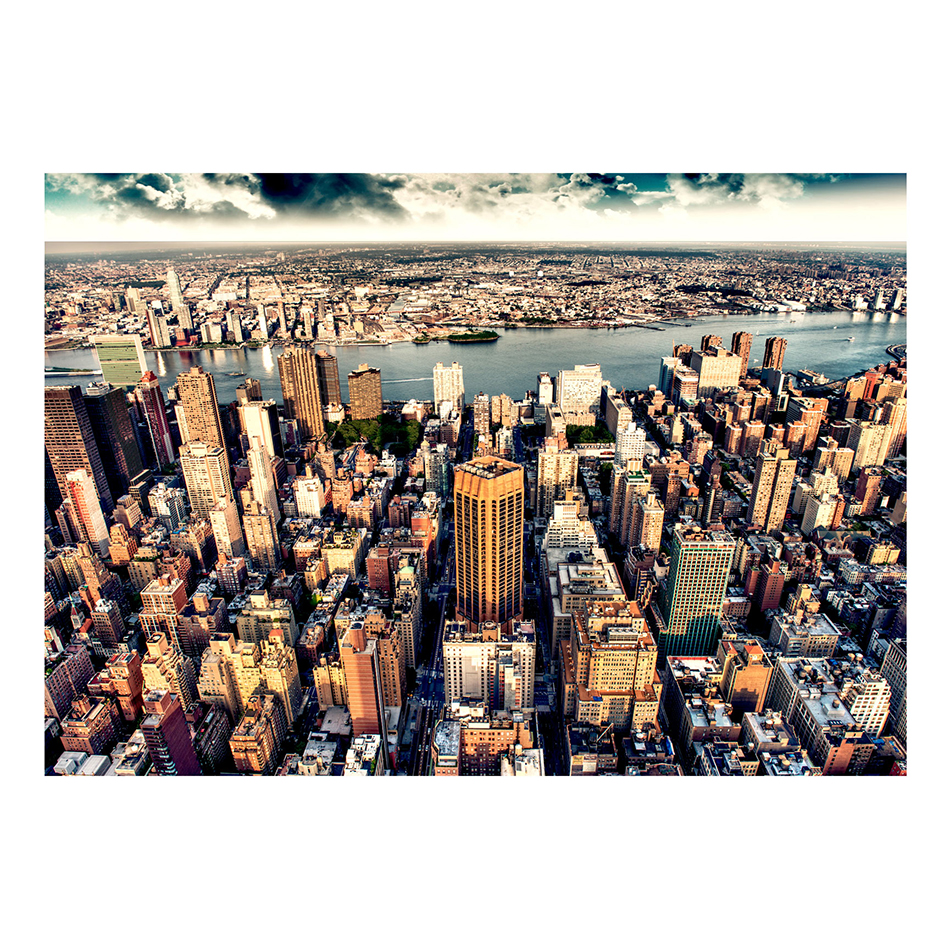 Bird's Eye View of New York 300x210 Storlek: 300x210 cm