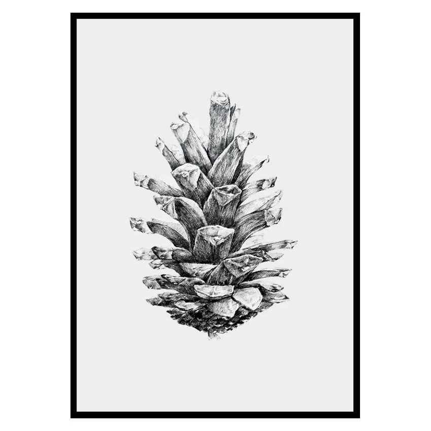 Poster Gallerix Sketched Spruce Cone