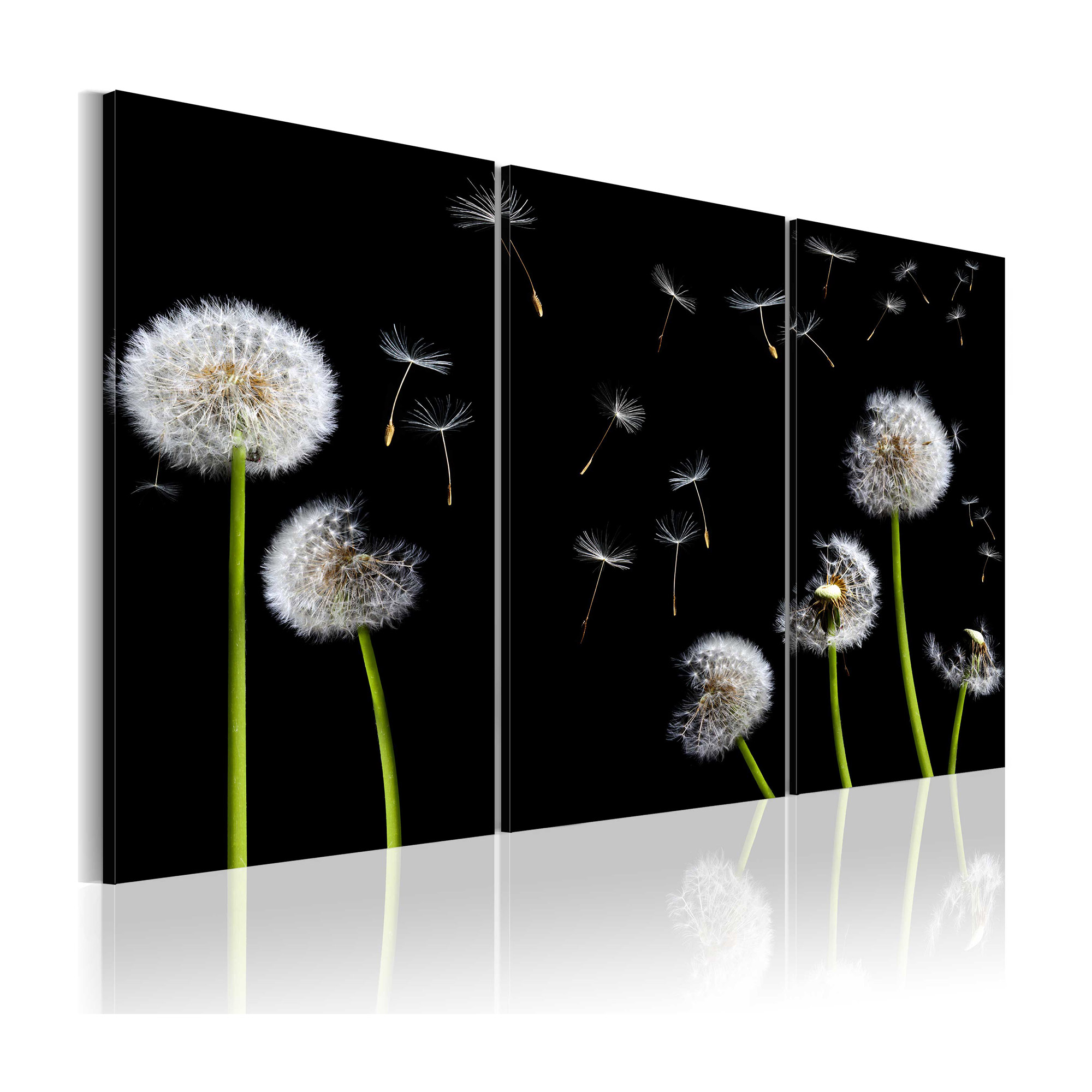 Tavla Arkiio Dandelions Family