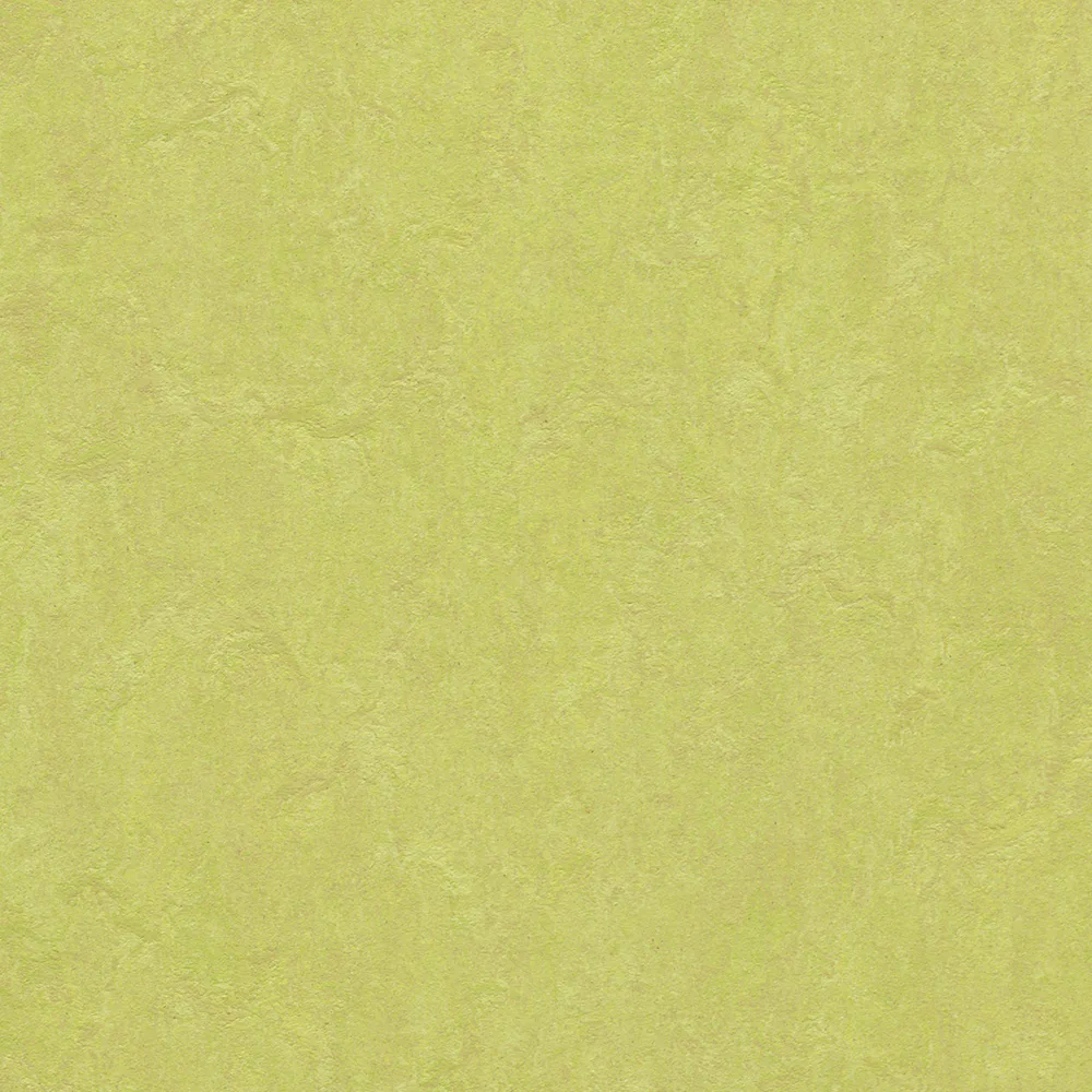 Linoleumgolv Forbo Marmoleum Click Spring Buds 30x30 cm