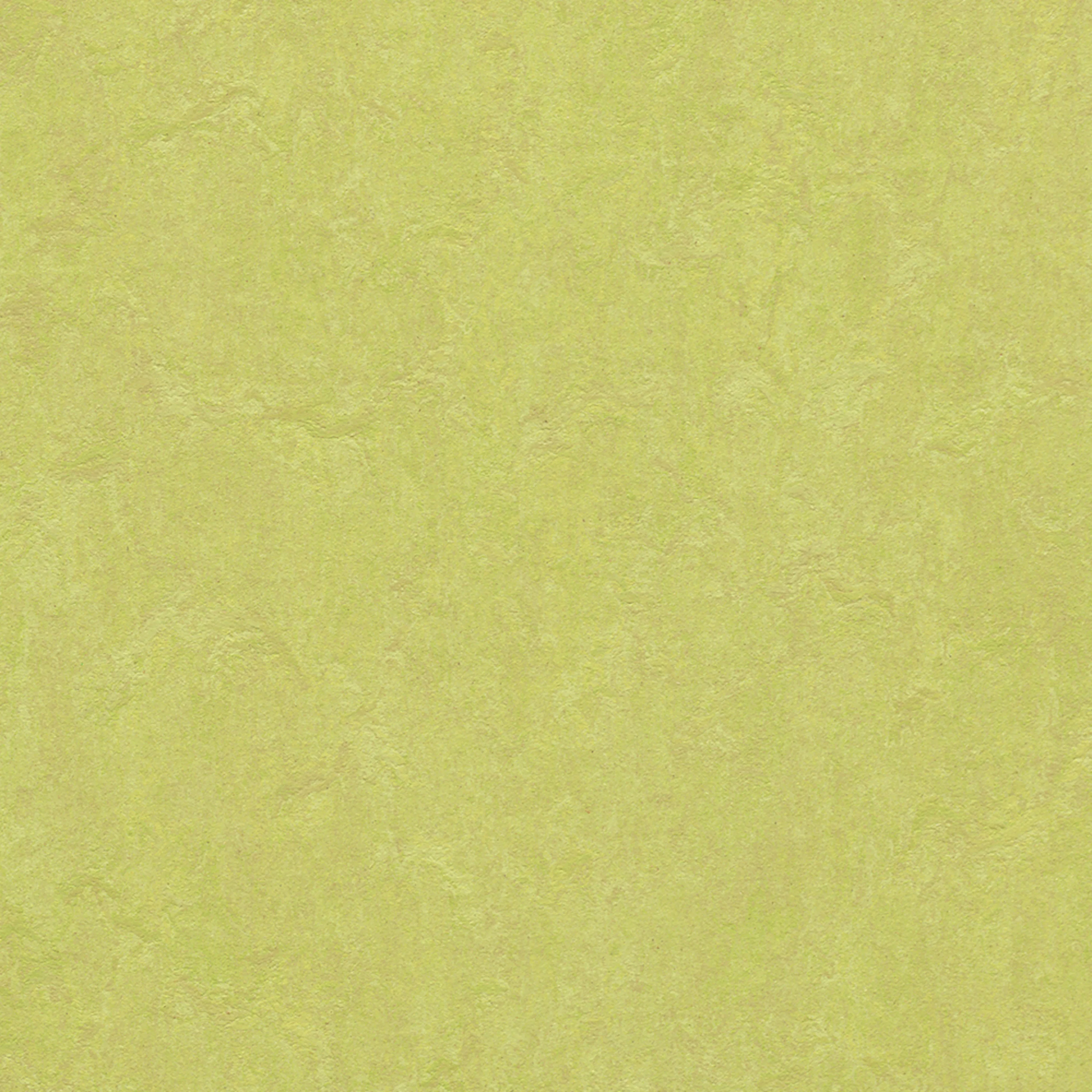 Linoleumgolv Forbo Marmoleum Click Spring Buds 30x30 cm