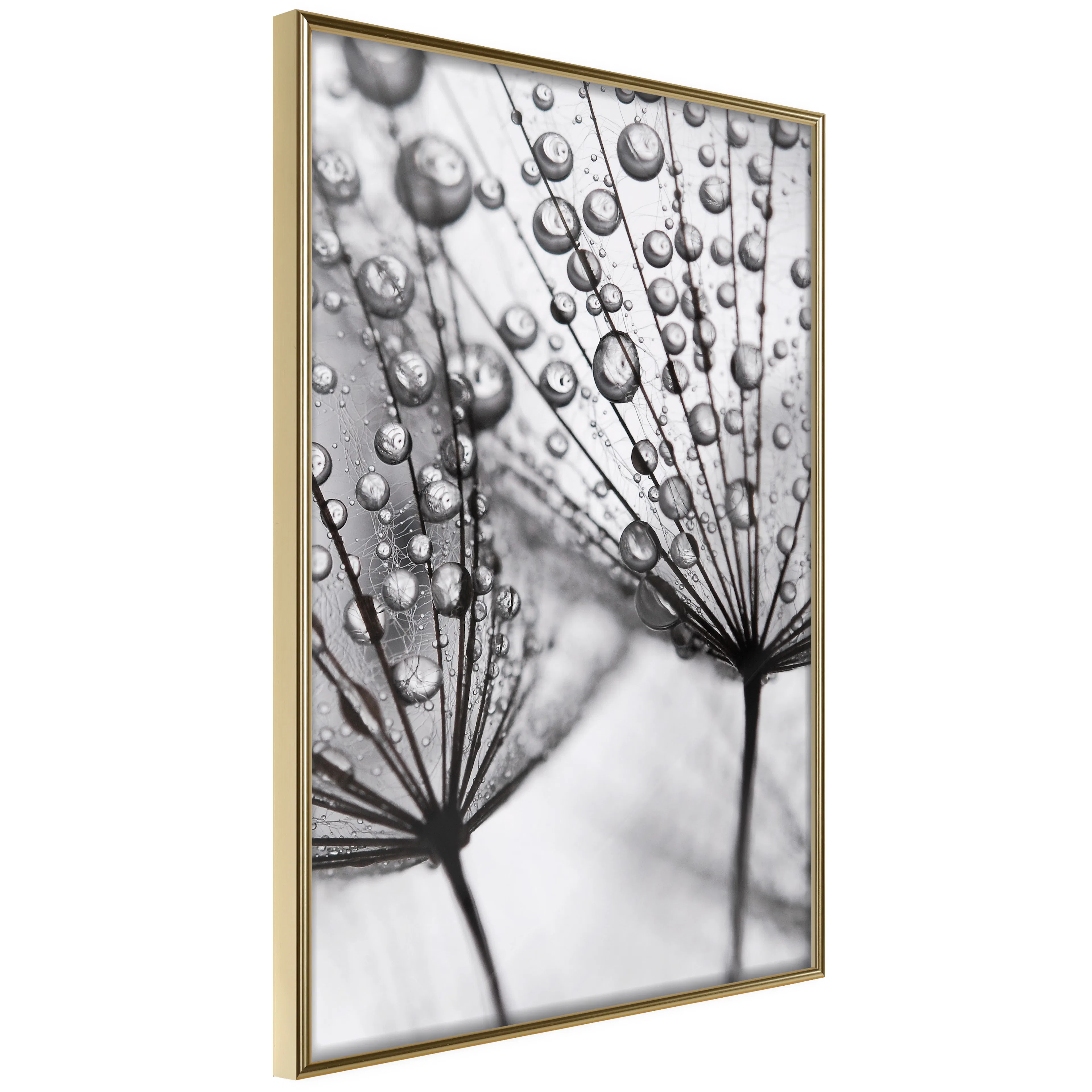 Poster Artgeist Affisch Morning Dew