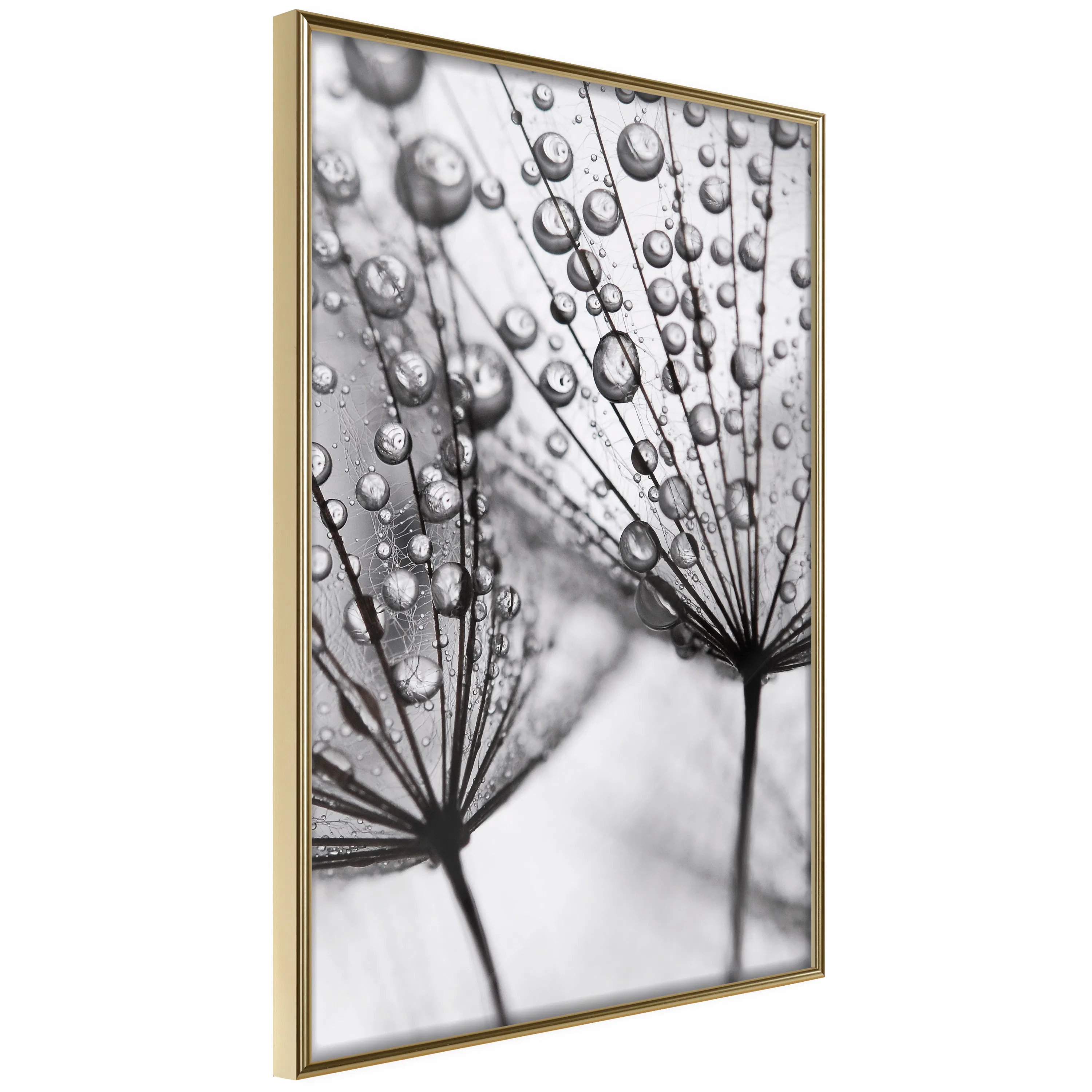 Poster Artgeist Affisch Morning Dew