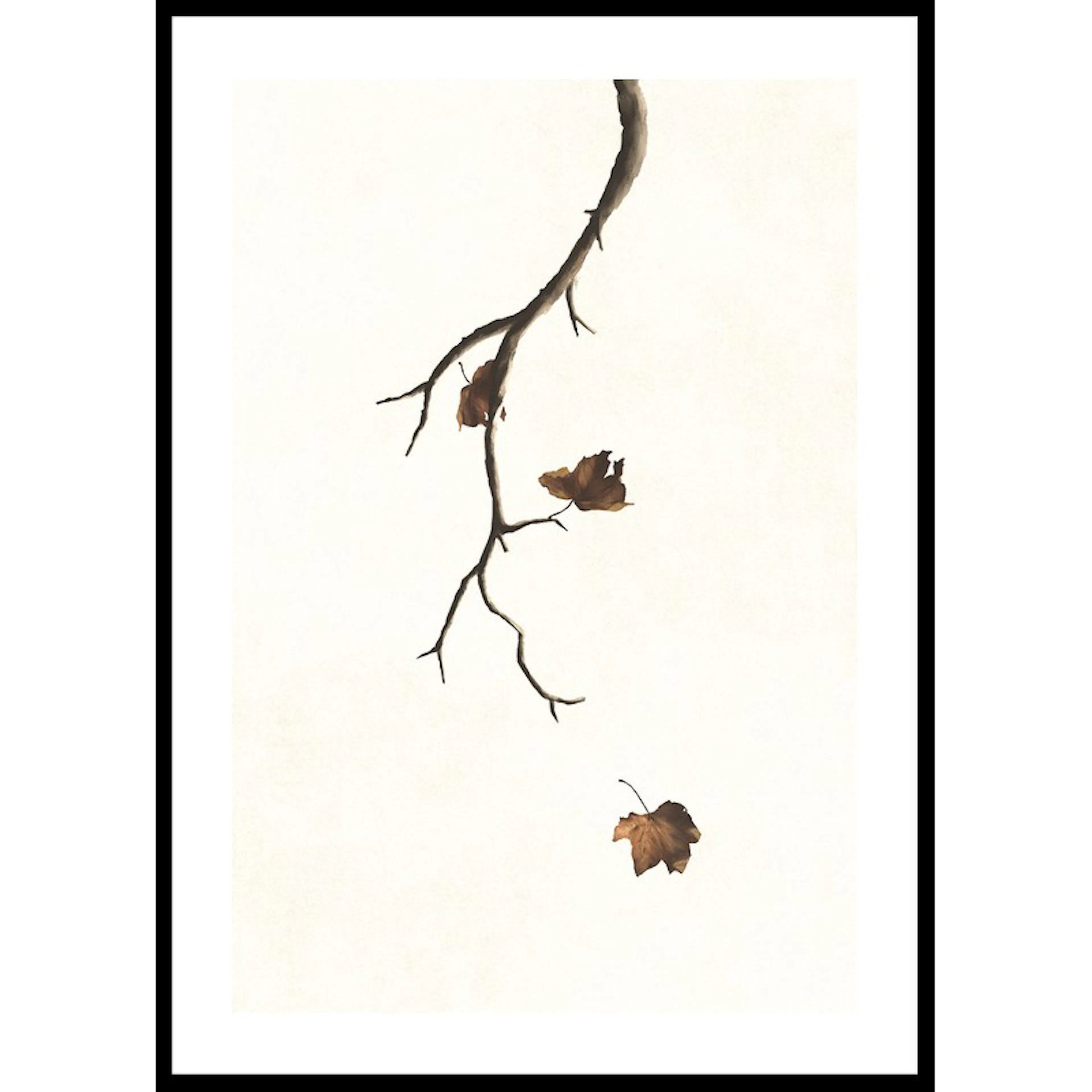 Poster Gallerix Autumn Leaves Falling
