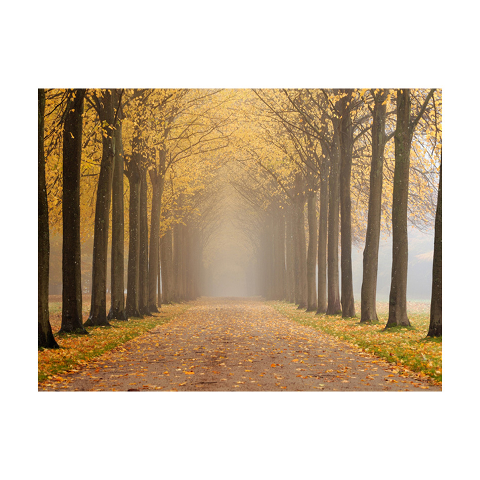 Fototapet Arkiio Journey To The Unknown