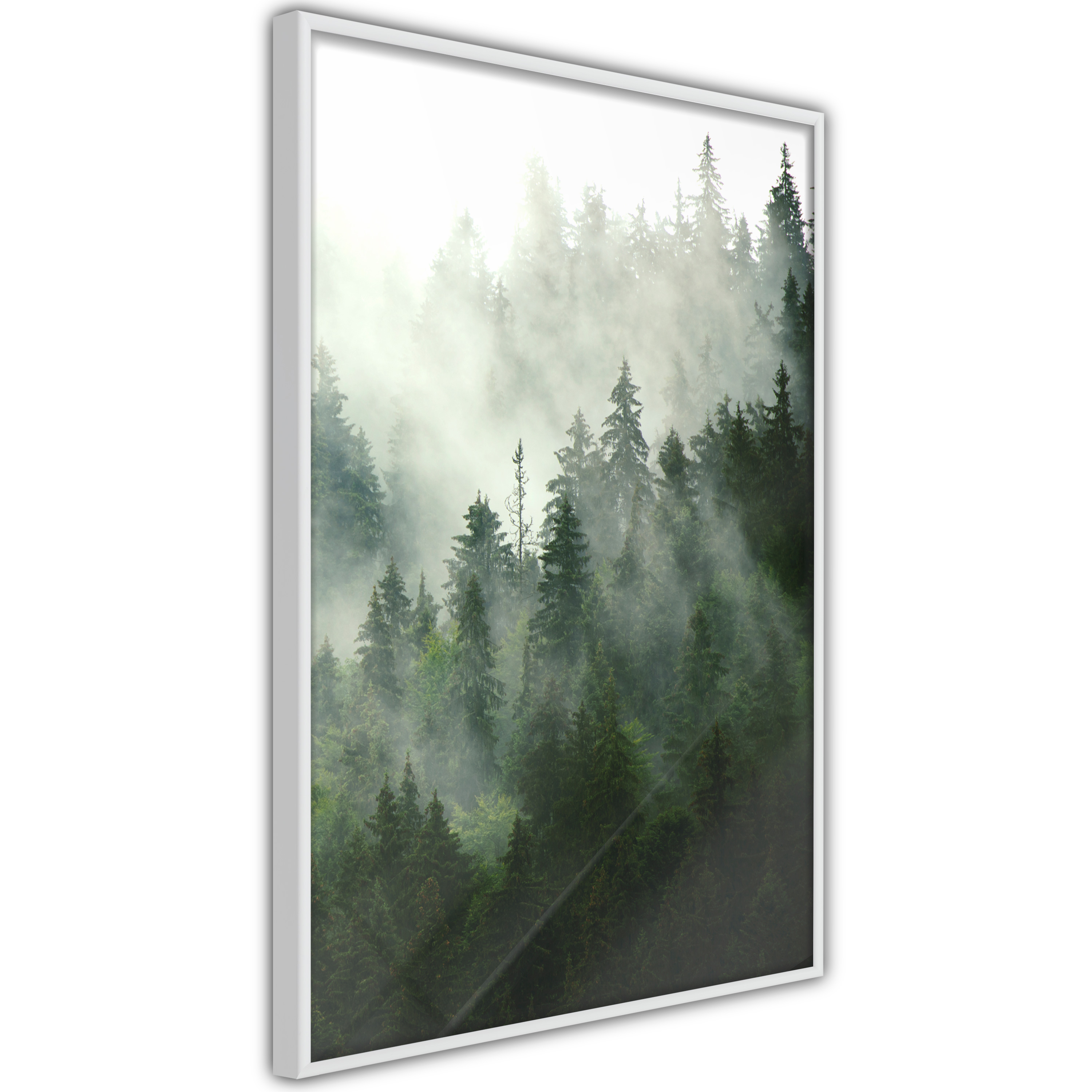 Poster Artgeist Affisch Coniferous Forest
