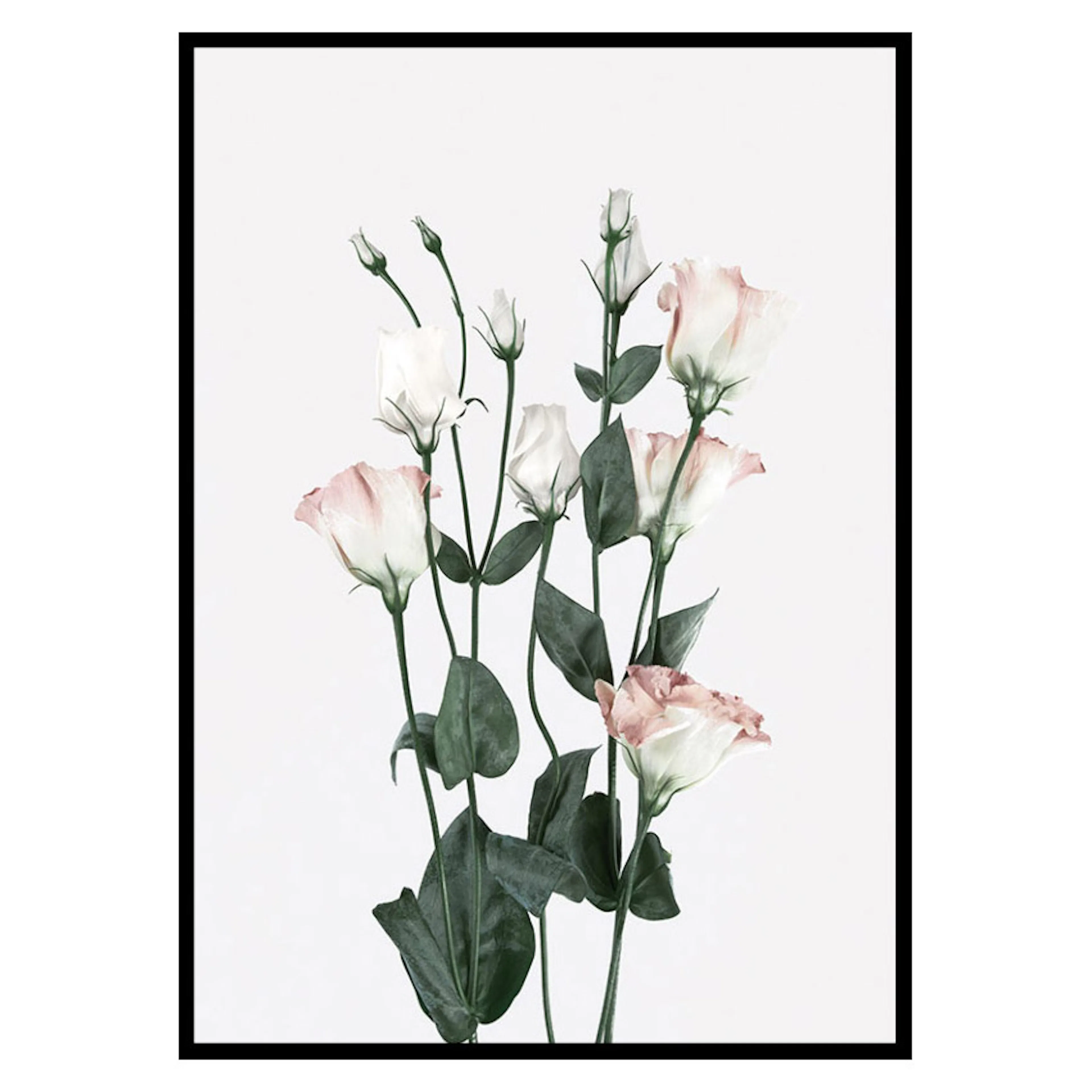 Poster Gallerix Rose Bouquet No2