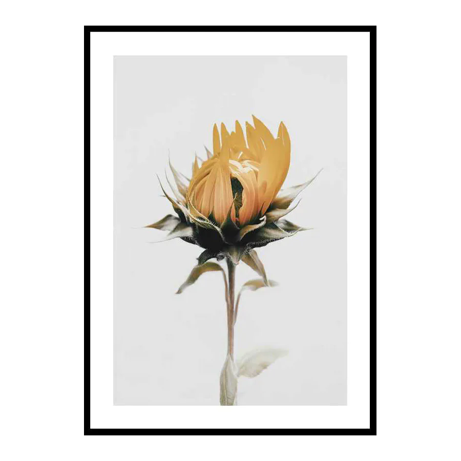 Poster Gallerix Yellow Sunflower