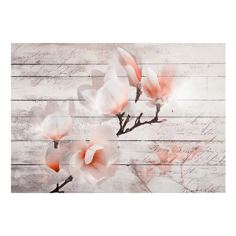 Fototapet Arkiio Subtlety Of The Magnolia