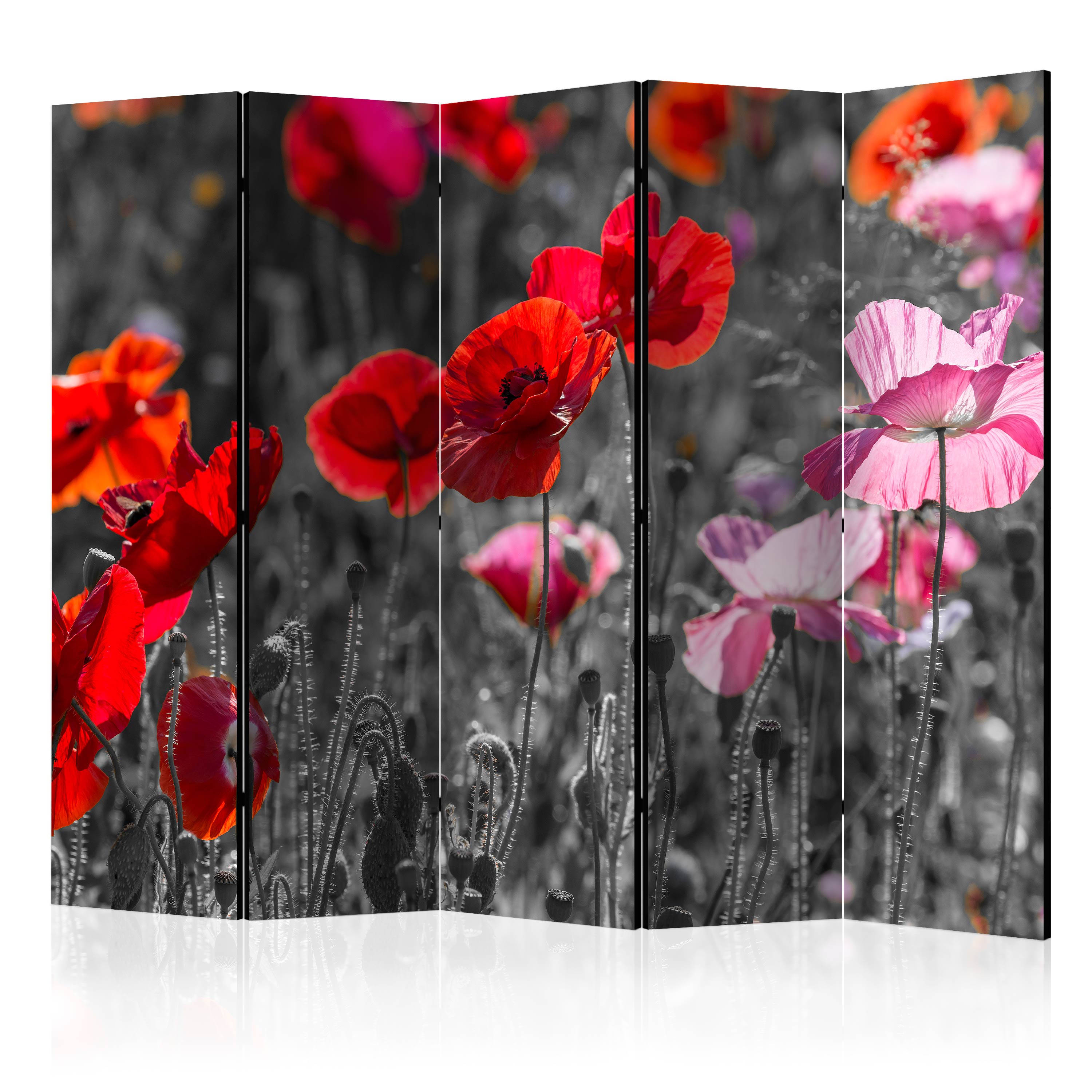 Rumsavdelare Arkiio Red Poppies II 225x172 cm