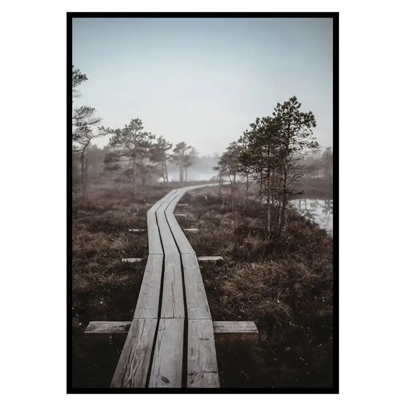 Poster Gallerix Riga Swamp