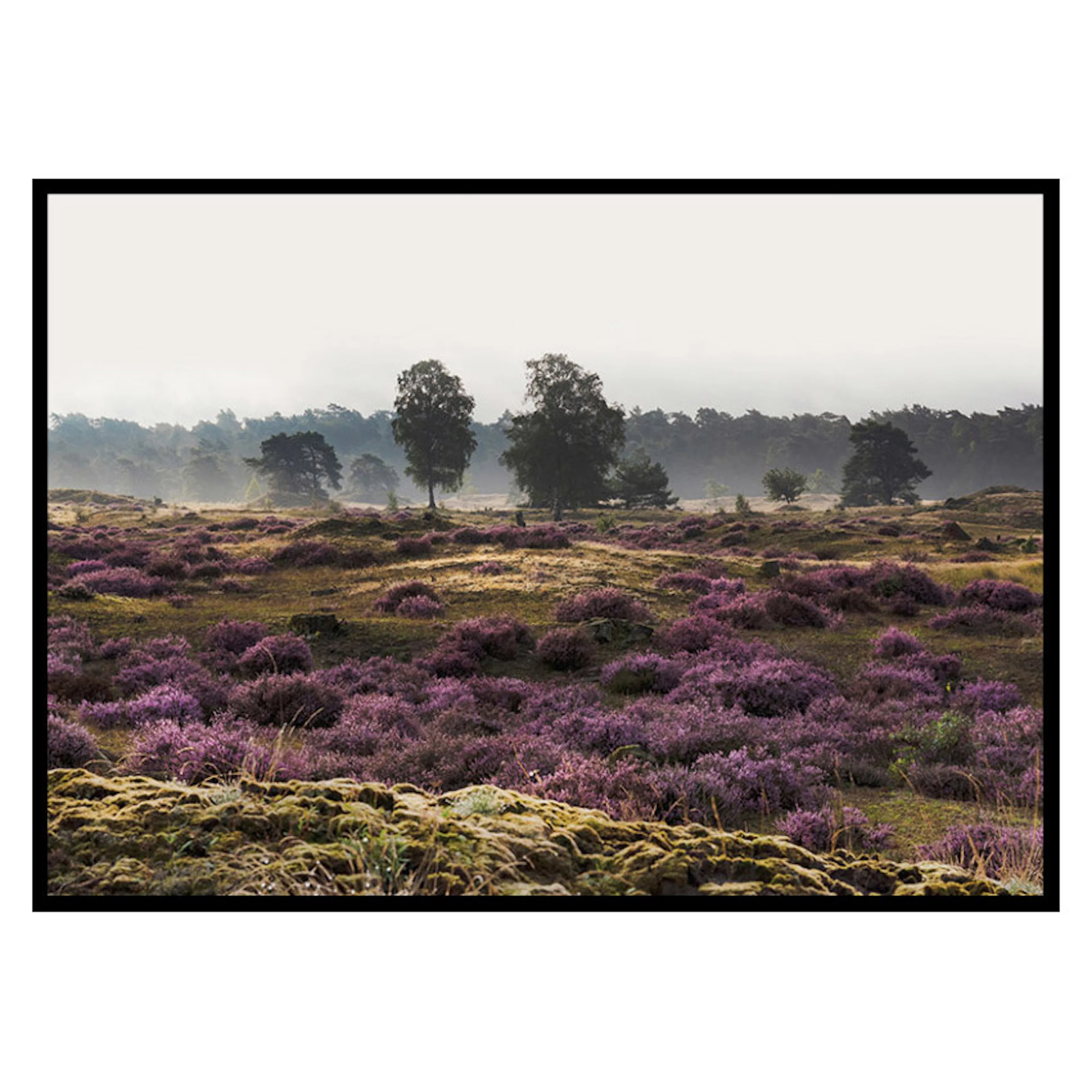 Poster Gallerix Veluwe Meadow