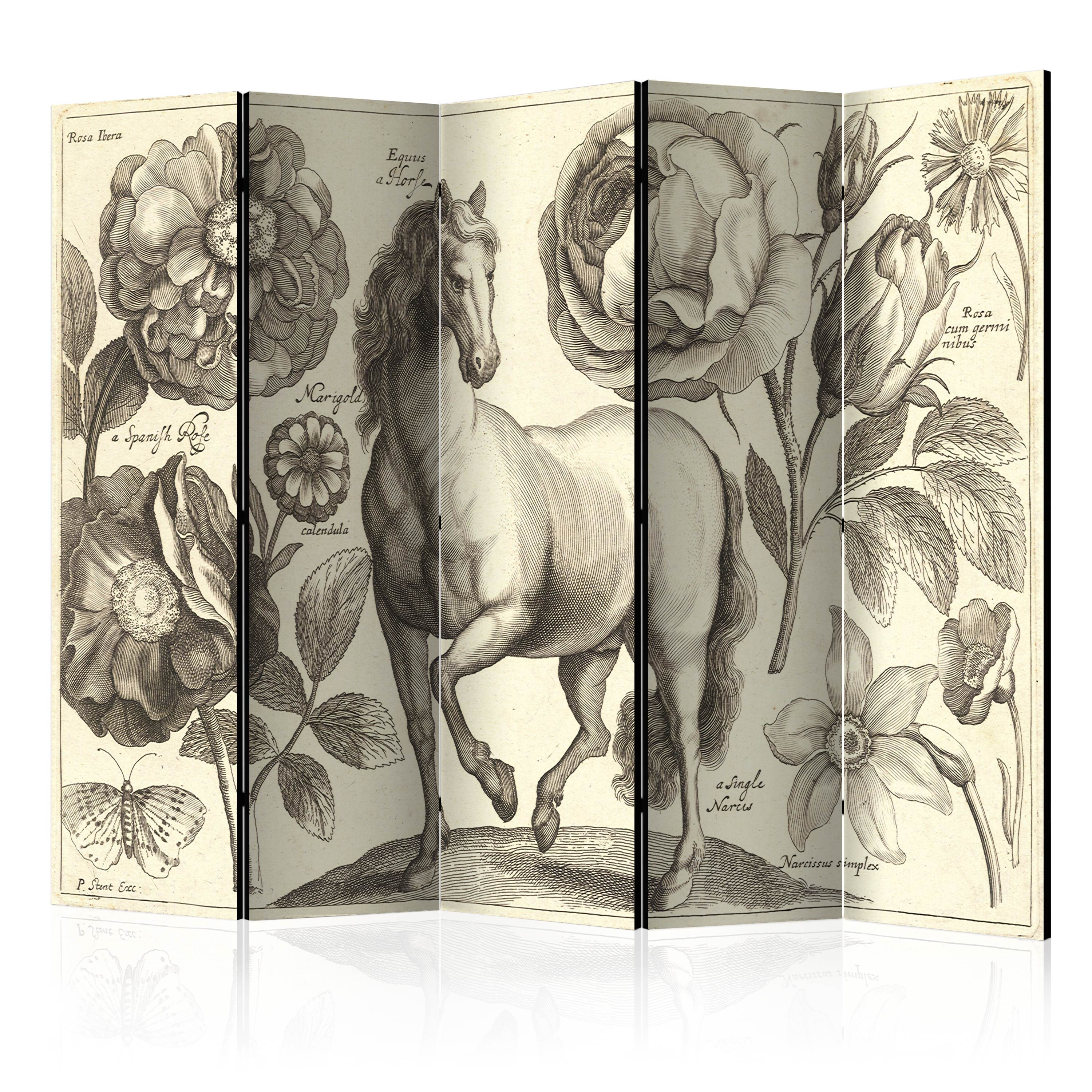 Rumsavdelare Arkiio Horse II 225x172 cm