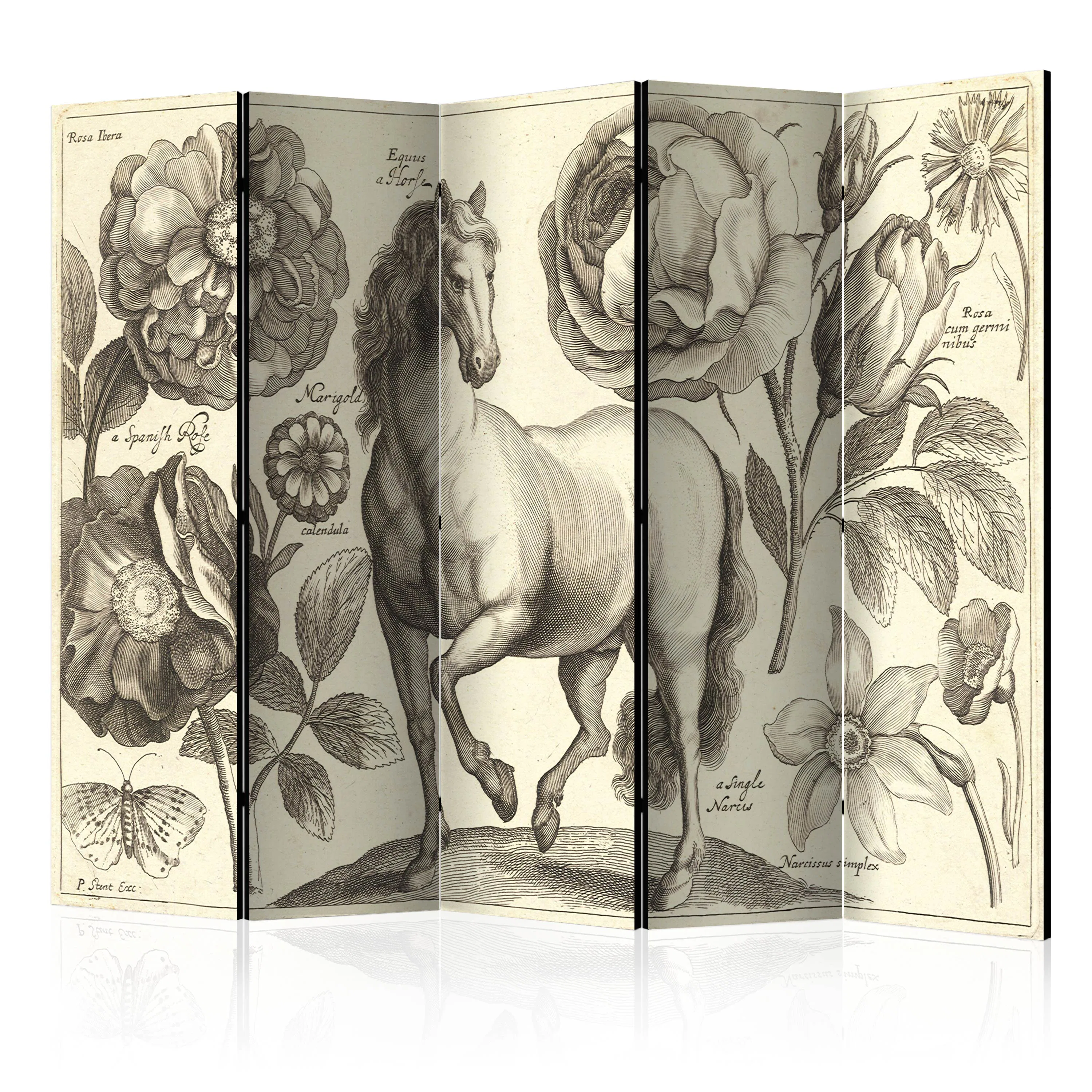 Rumsavdelare Arkiio Horse II 225x172 cm