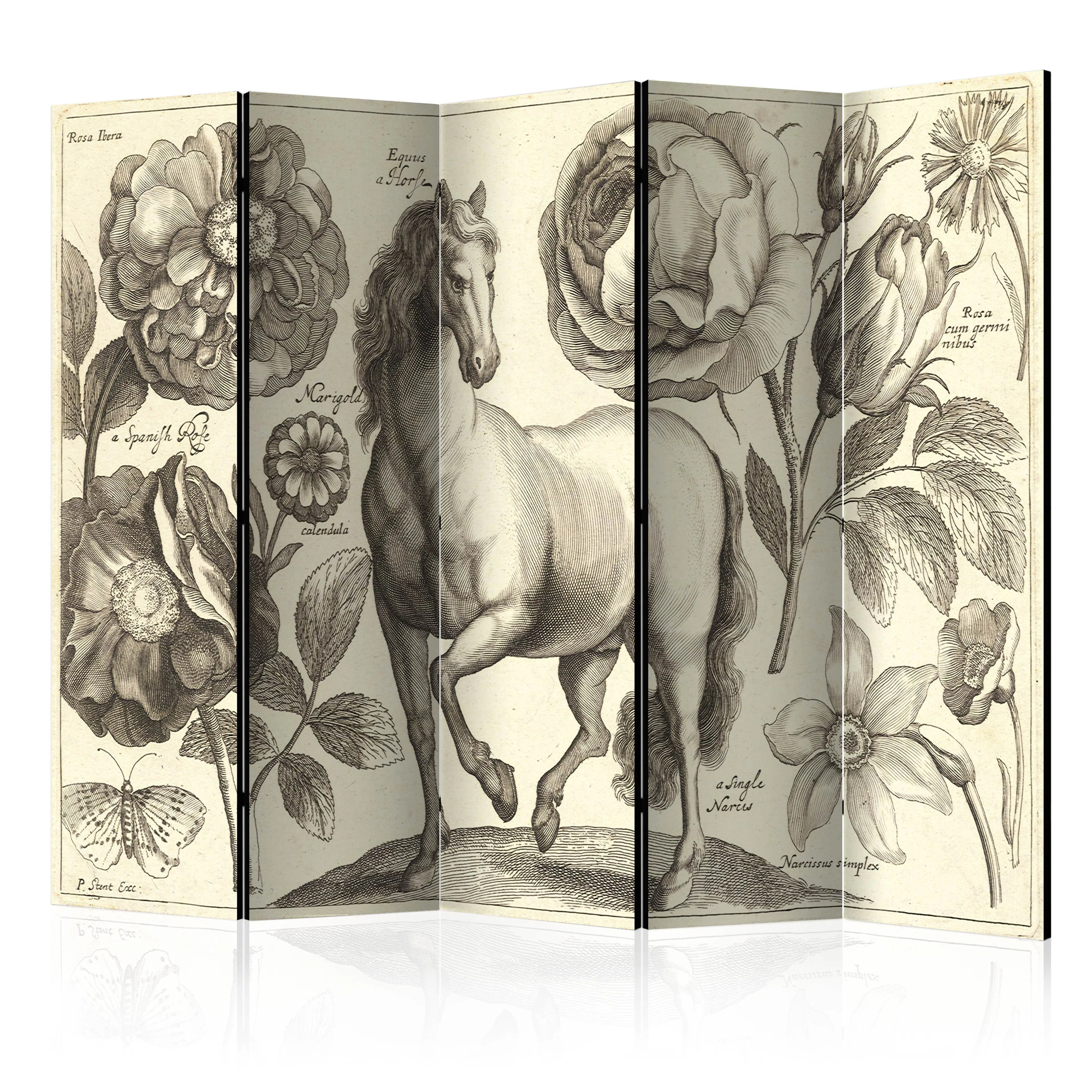 Rumsavdelare Arkiio Horse II 225x172 cm