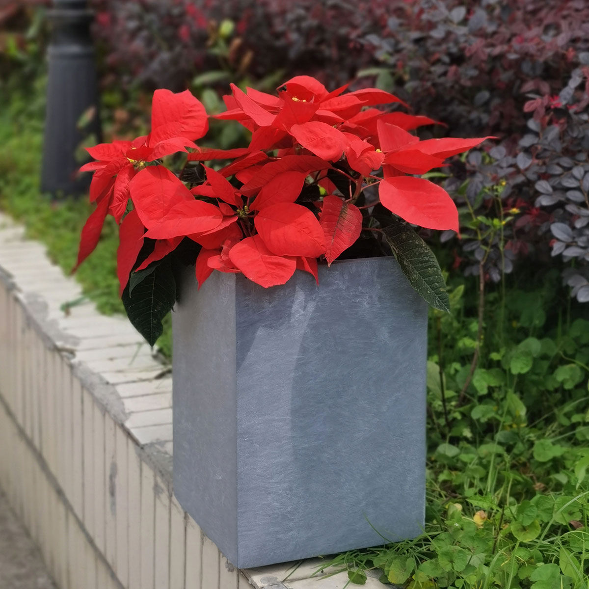 Ytterkruka Lyfco Sten 3-pack