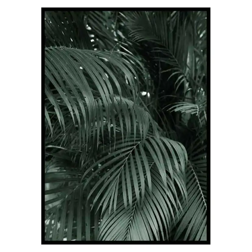 Poster Gallerix Palm Leaf No2