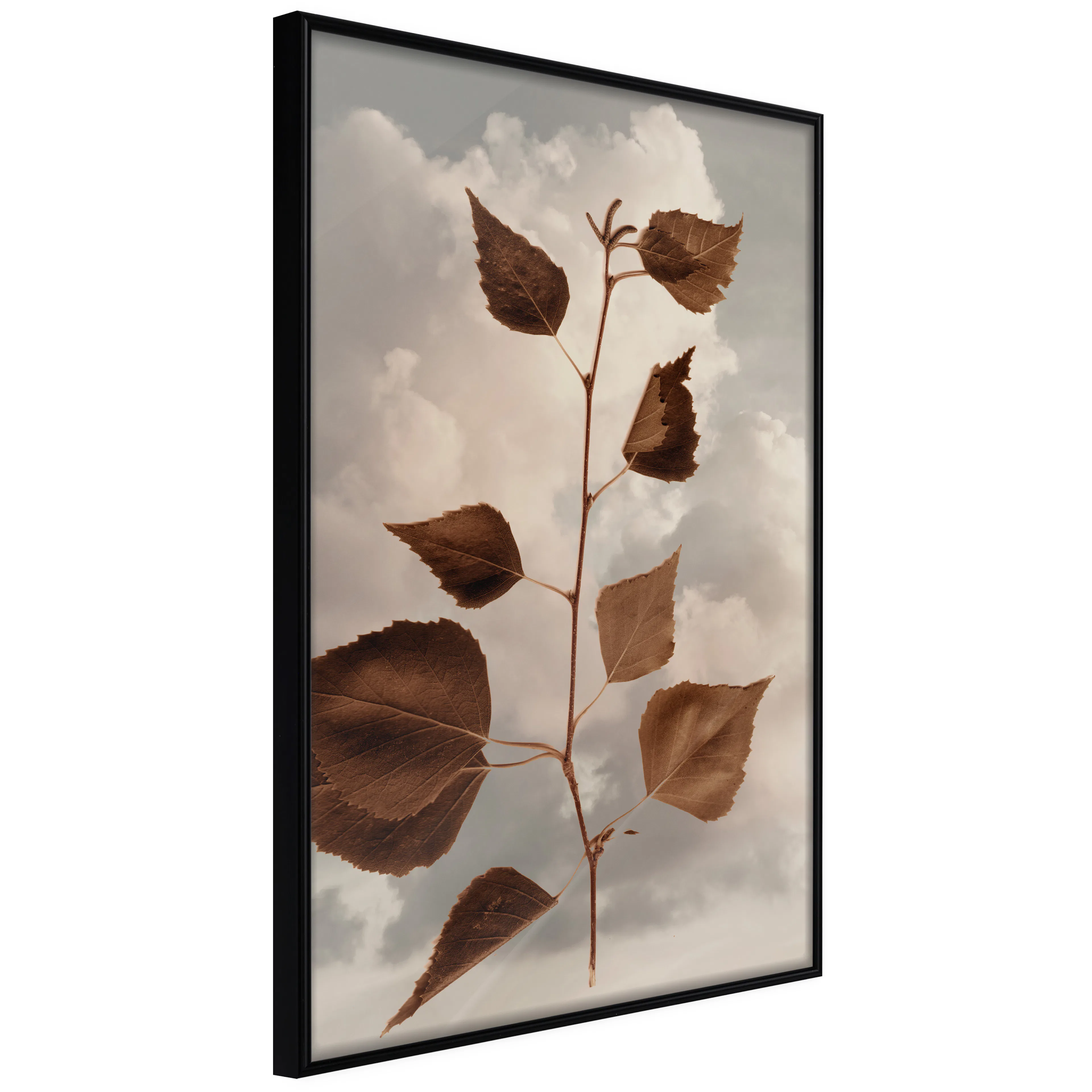 Affisch - September [Poster] 40x60 Svart ram, 40x60 cm