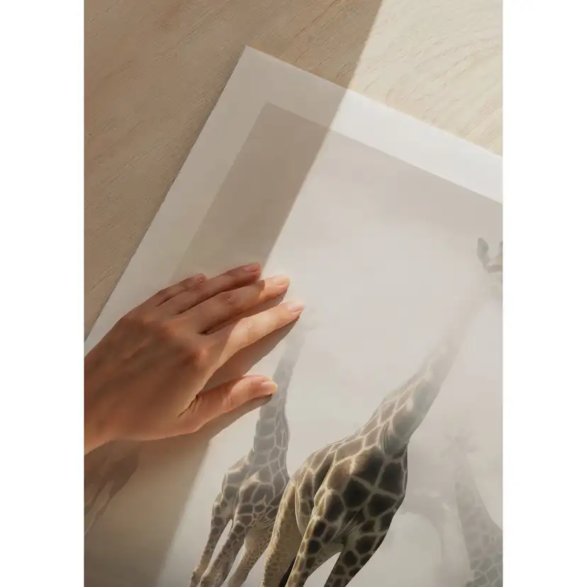 Poster Gallerix Giraffes Sky High
