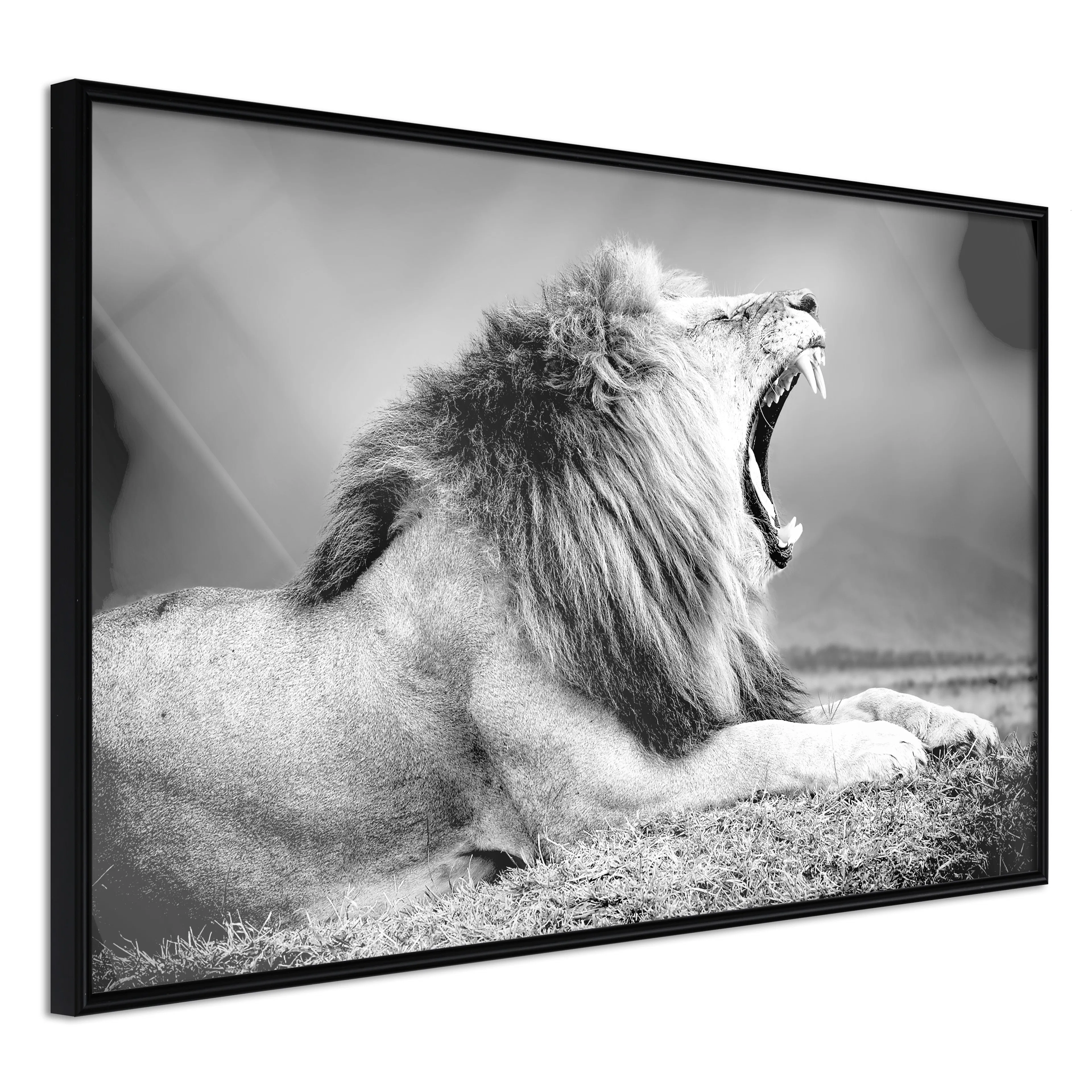 Affisch - Deafening Roar [Poster] 60x40 Svart ram, 60x40 cm