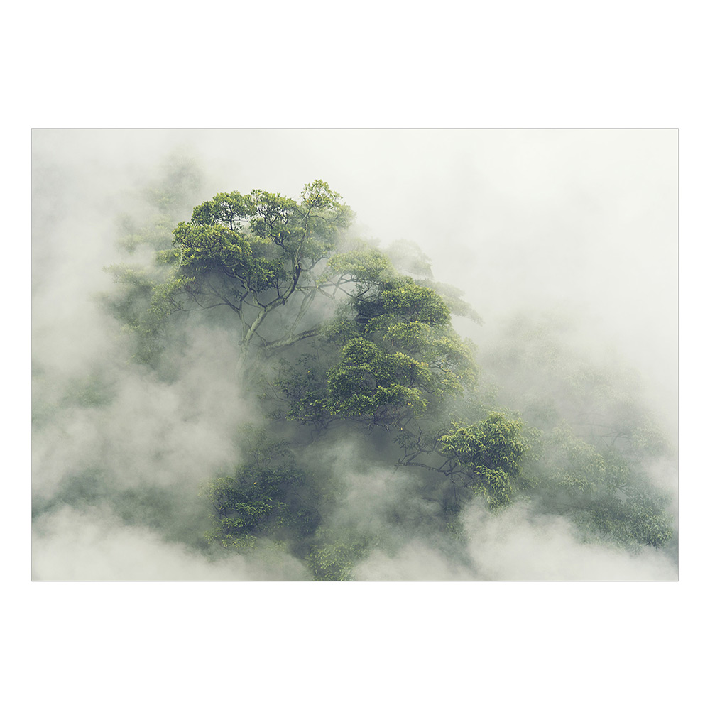Fototapet Arkiio Foggy Amazon