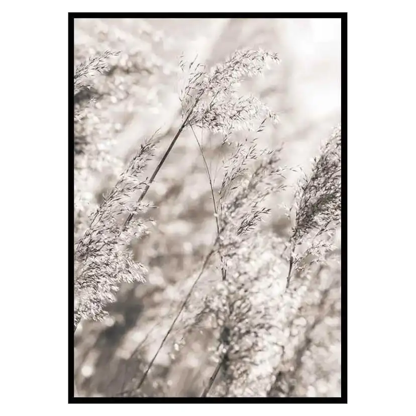 Poster Gallerix Dried Plants No3