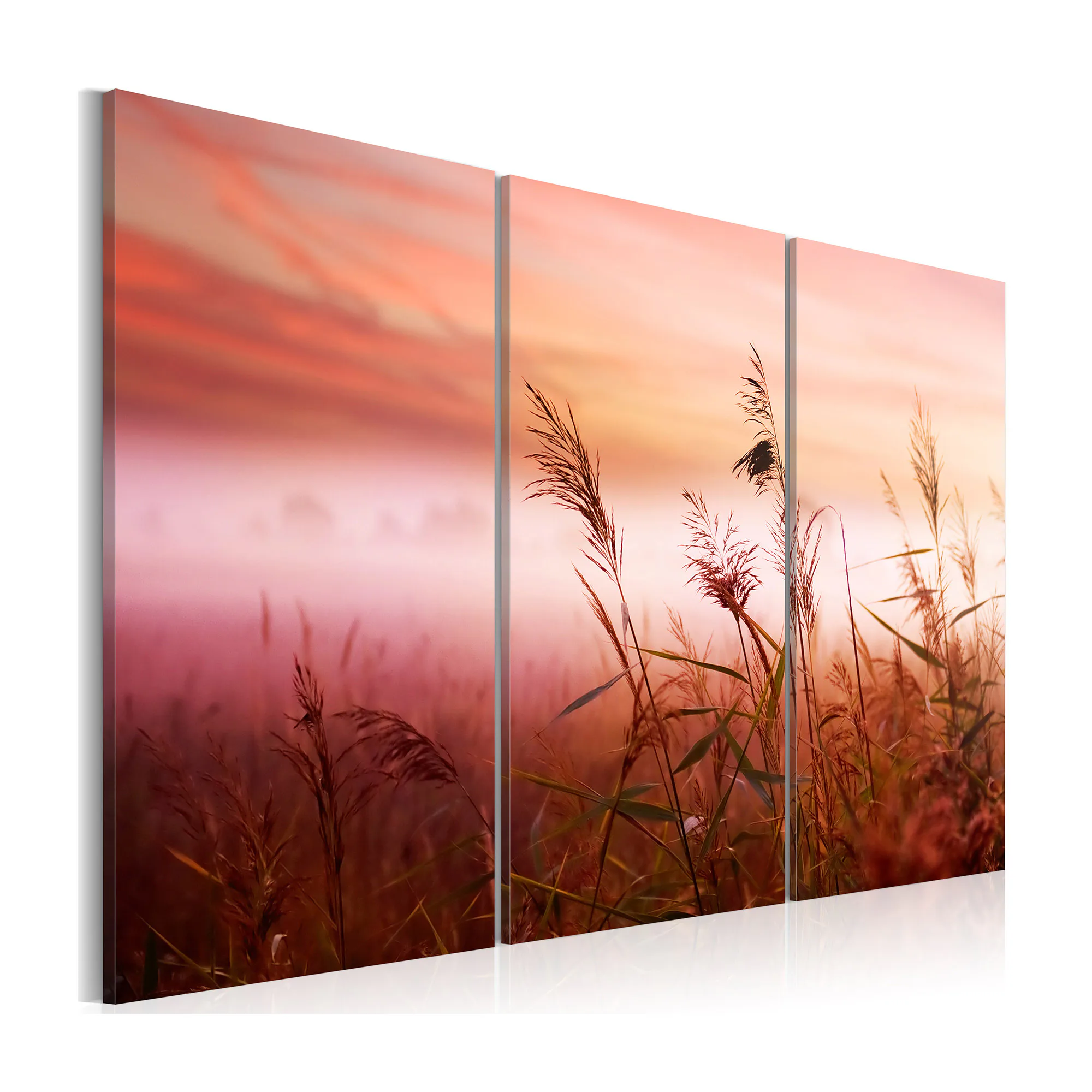 Tavla Arkiio A Silent Meadow