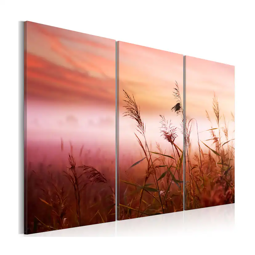 Tavla Arkiio A Silent Meadow