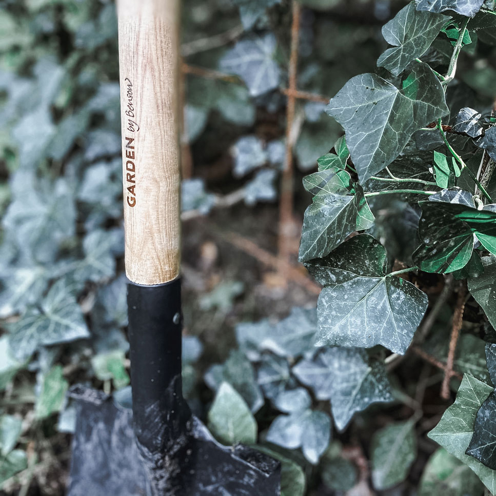 Skyffel by Benson Deluxe