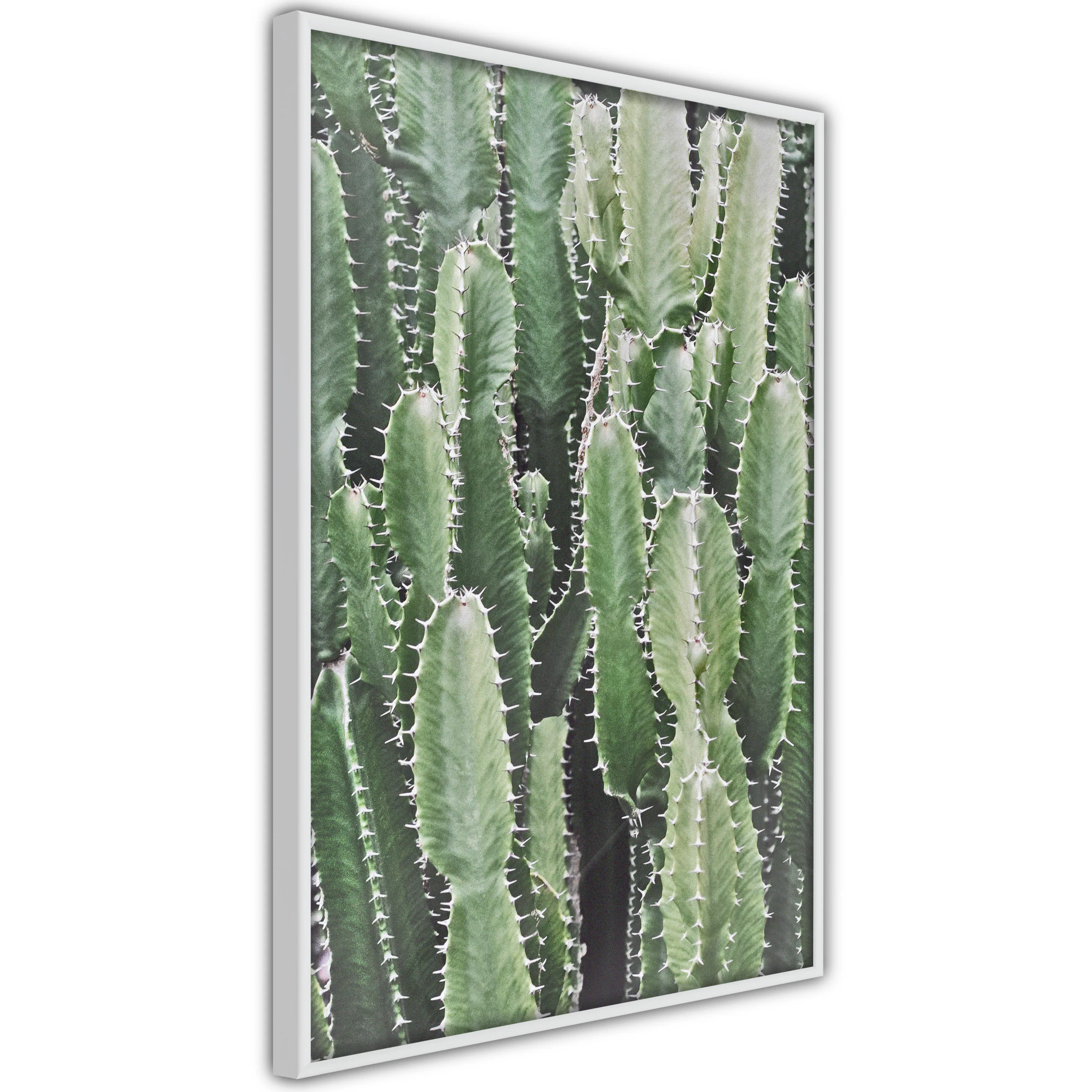 Poster Artgeist Affisch Cactus Garden
