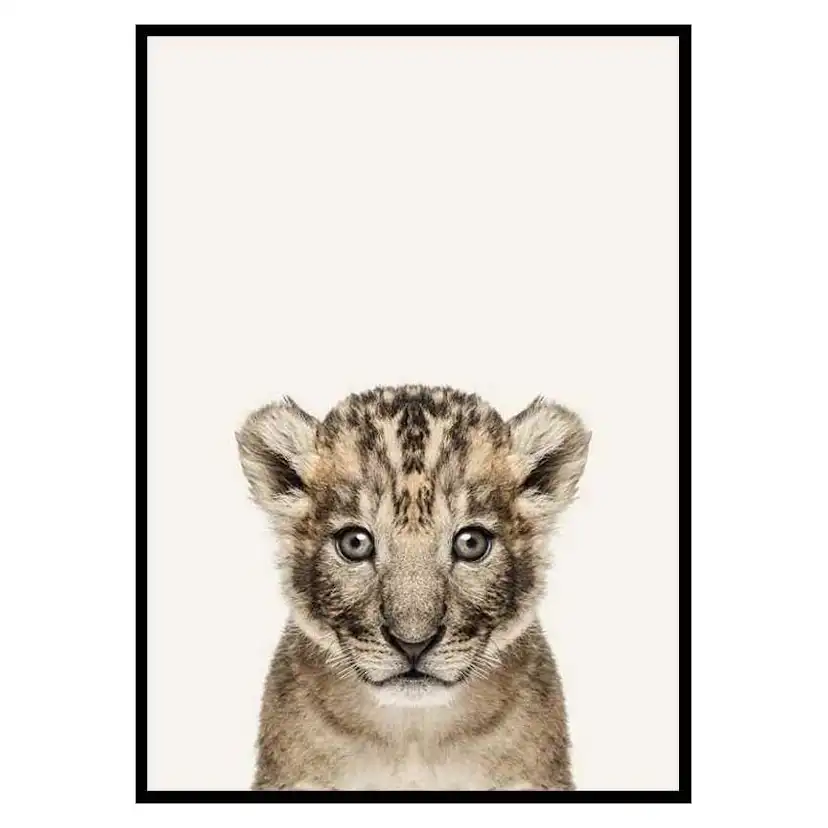 Poster Gallerix Baby Lion