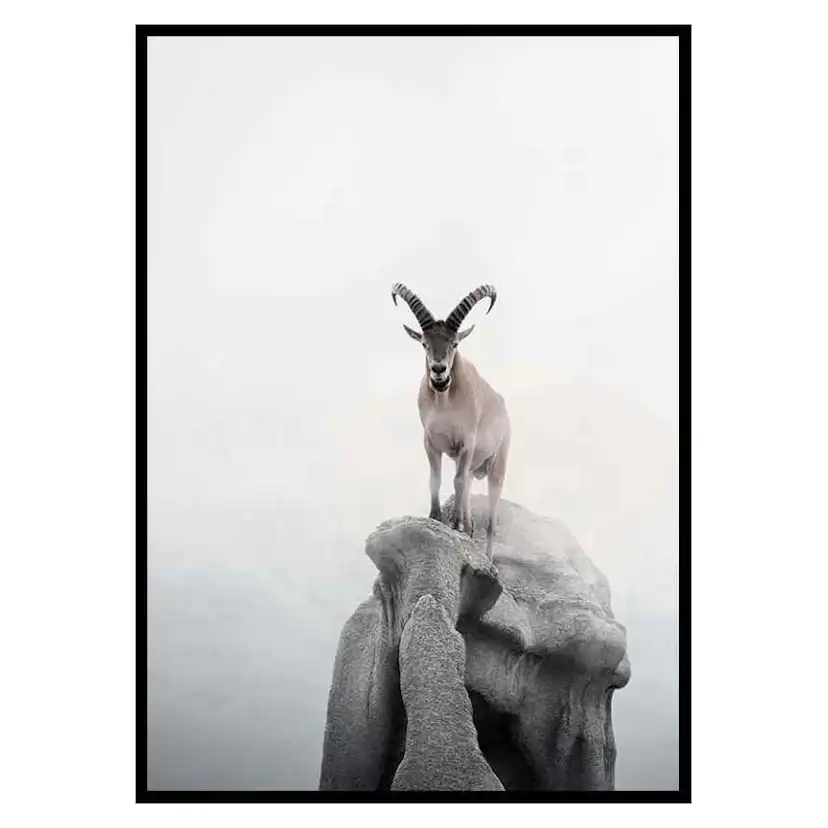 Poster Gallerix Intent Ibex