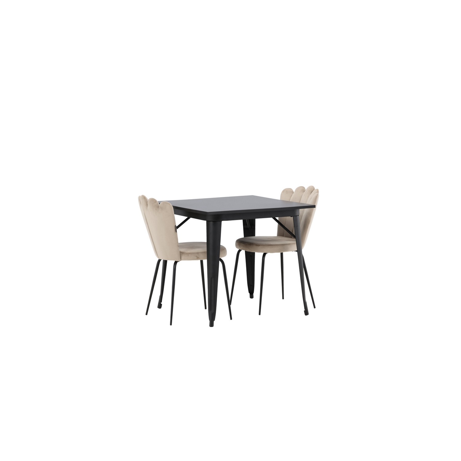 Matgrupp Venture Home Tempe med 2 Limhamn Light Stolar