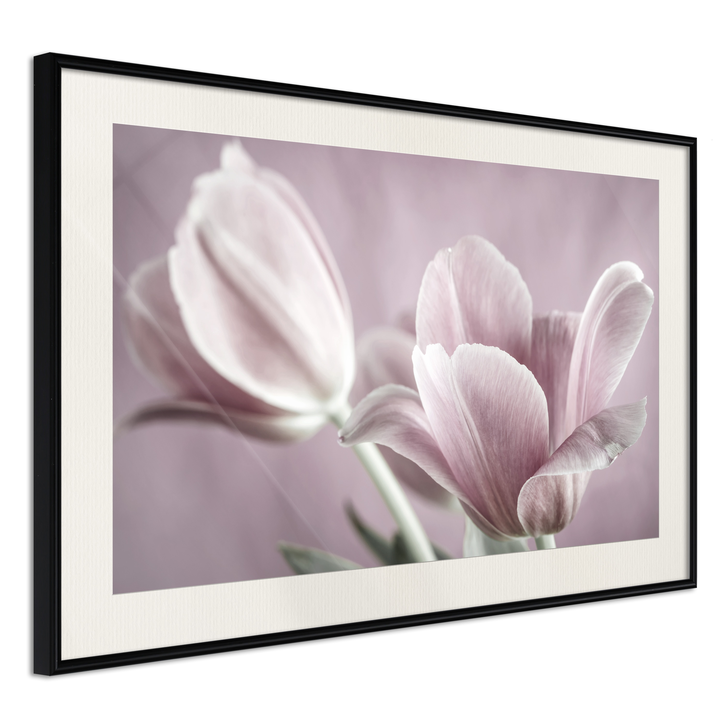 Poster Artgeist Affisch Pink Tulips