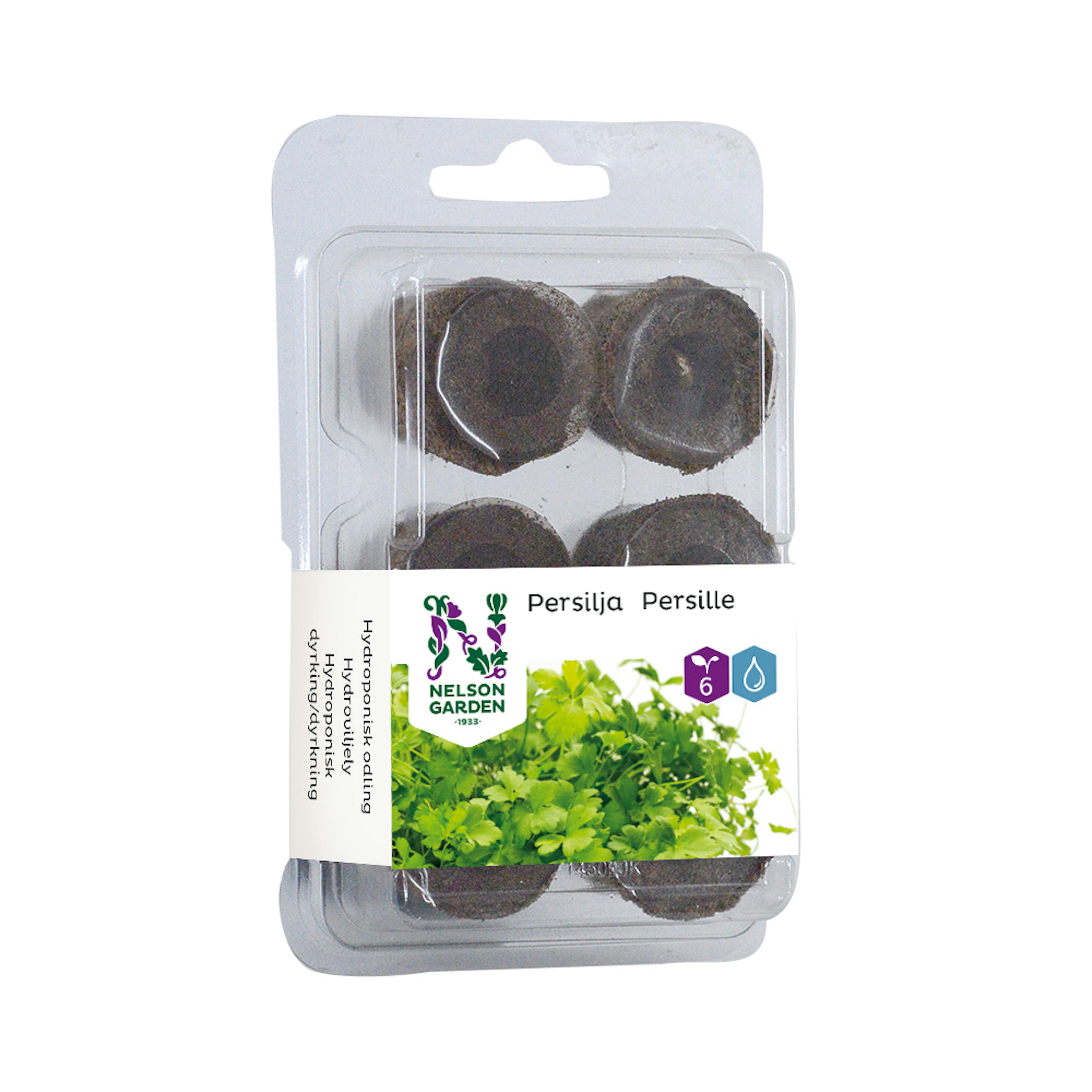 Hydroponisk Fröplugg Nelson Garden Persilja