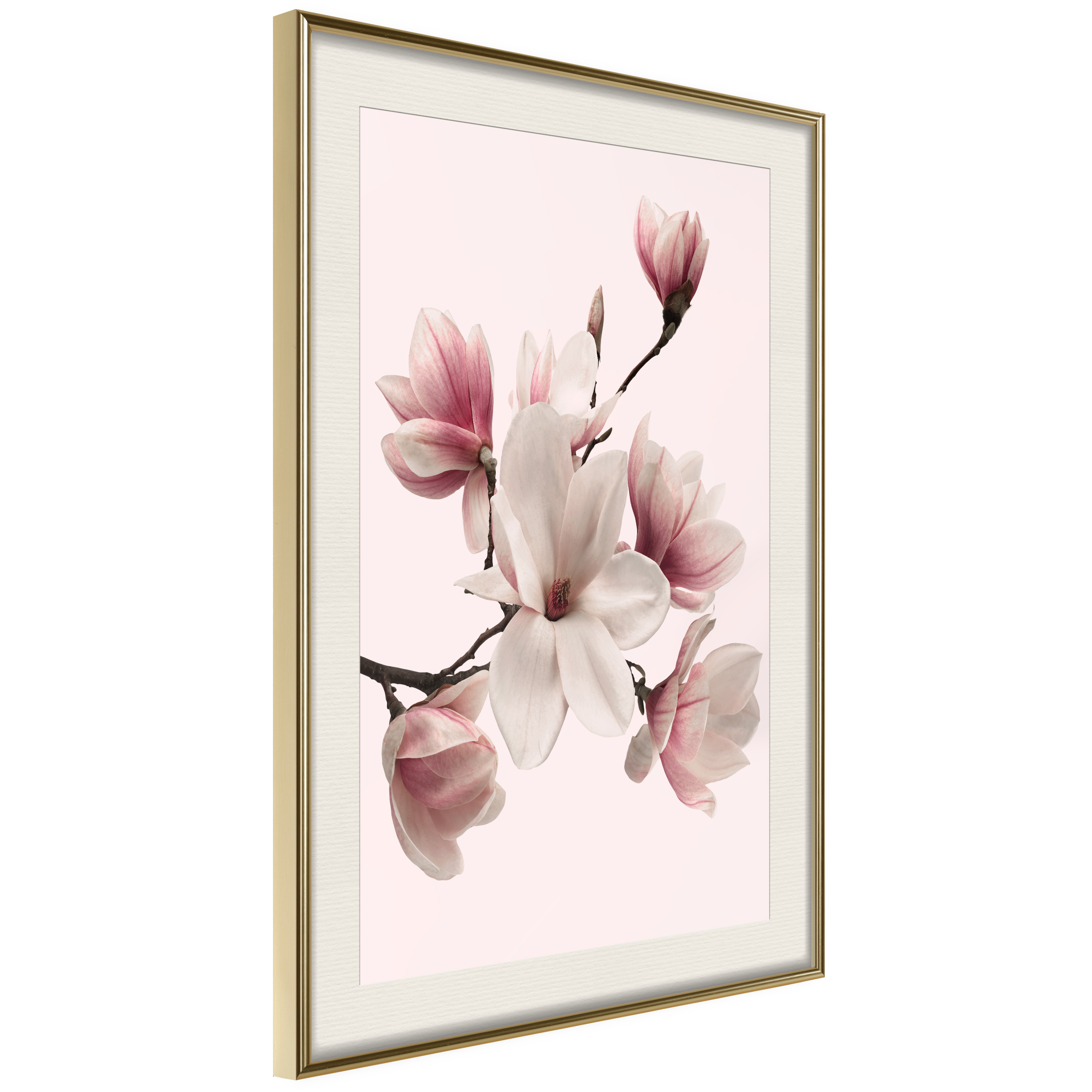Affisch - Delicate Magnolias [Poster] 30x45 Guld ram med passepartout, 30x45 cm