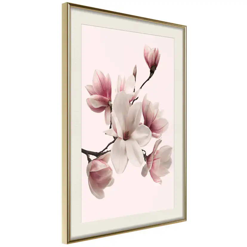 Poster Artgeist Affisch Delicate Magnolias