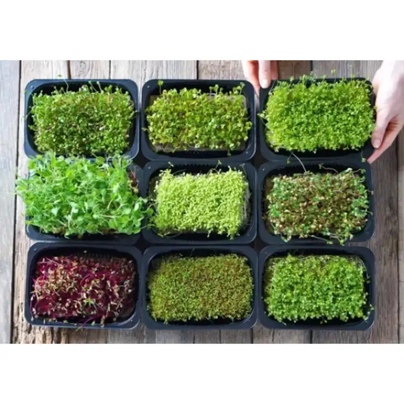 Odlingsmatta Turfquick Sallad Baby Leaf Mix