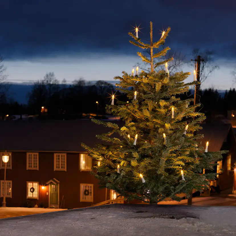 Julgransbelysning Gnosjö Konstsmide LED Utomhus 1013-010