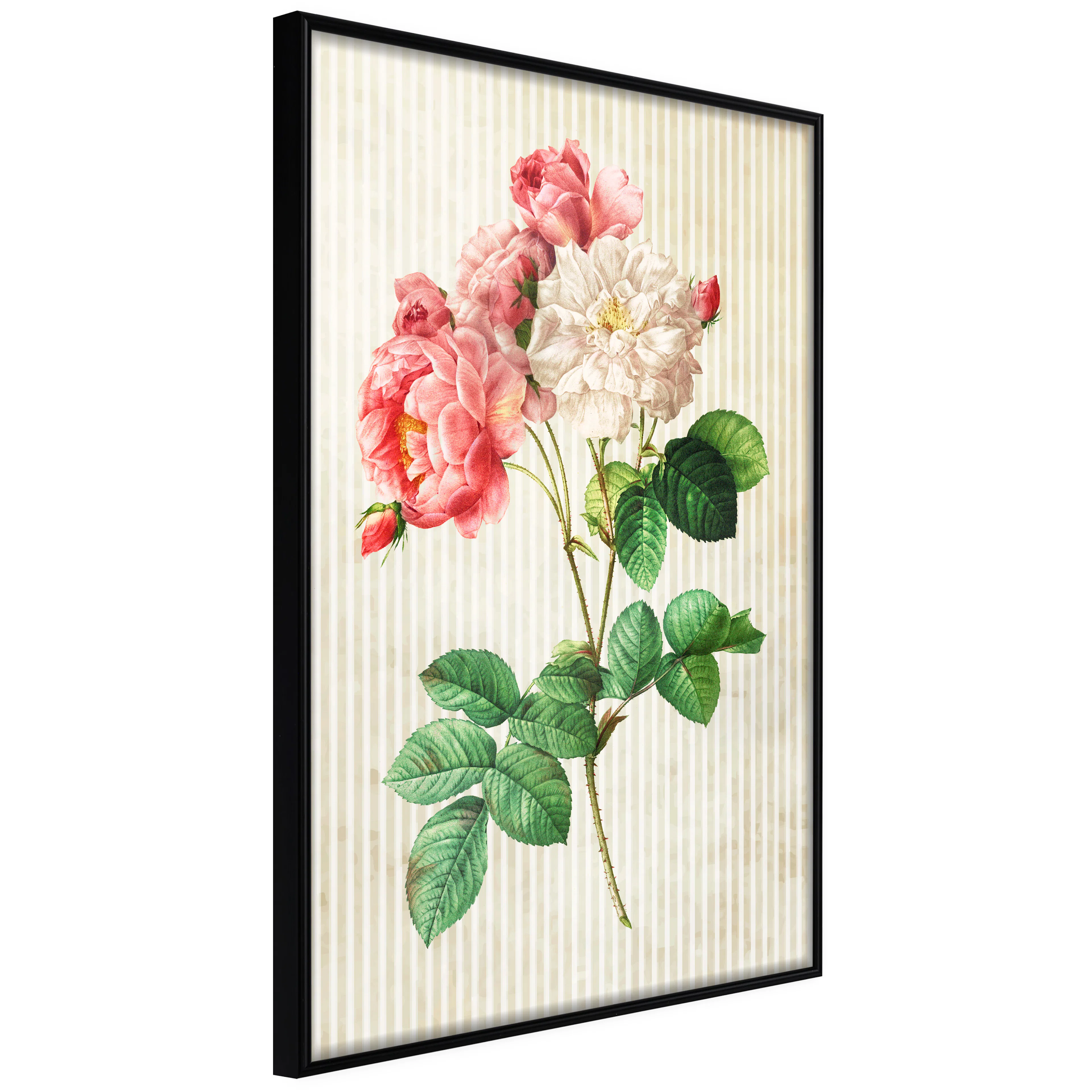 Affisch - Heavenly Rose [Poster] 40x60 Svart ram, 40x60 cm