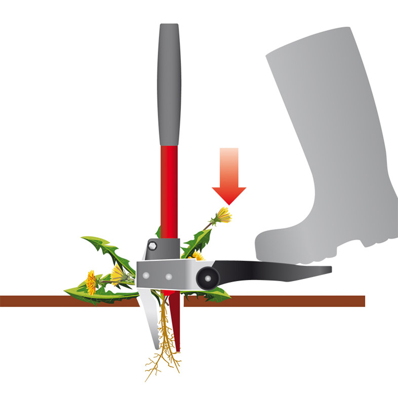 Maskrosupptagare WOLF-Garten IW-A