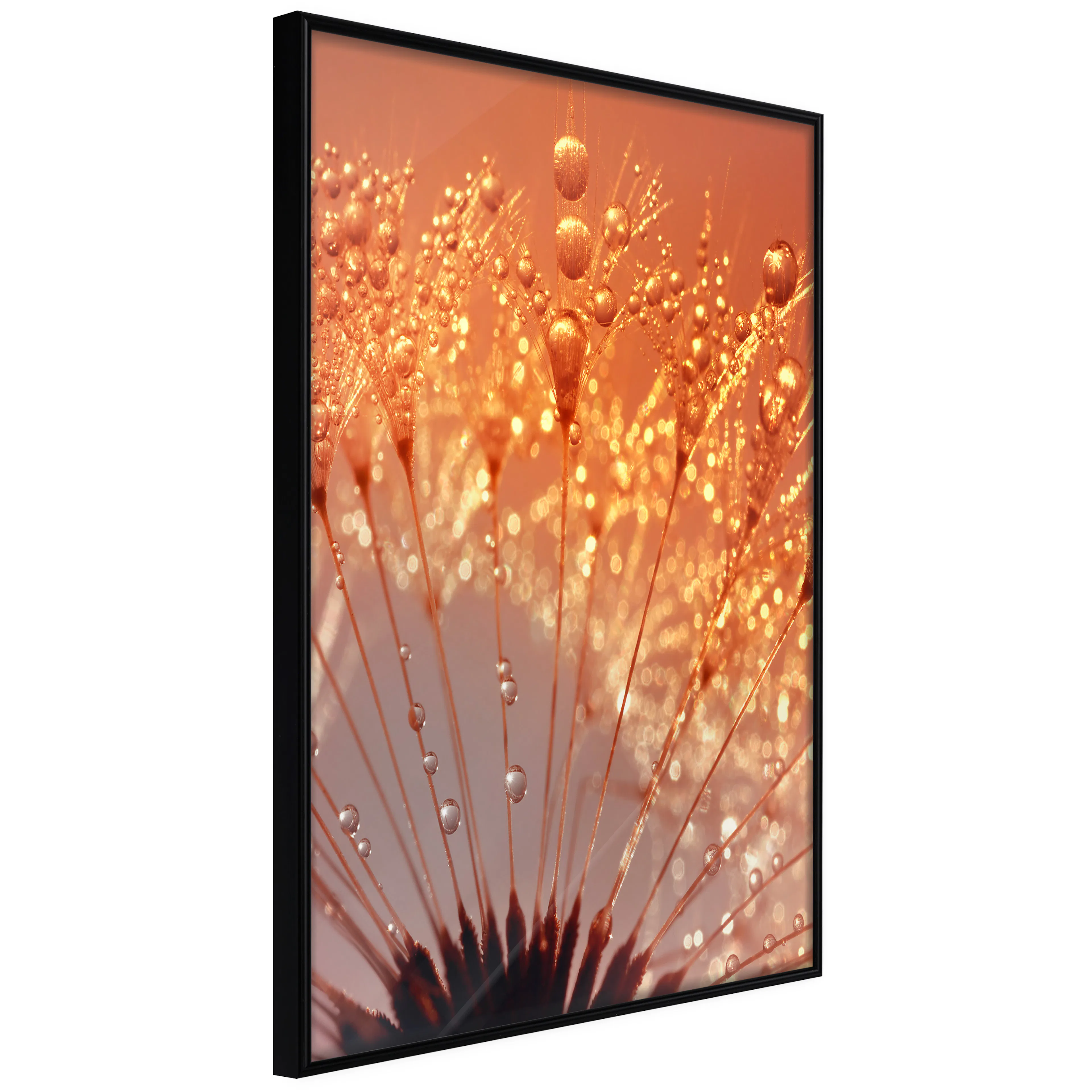 Affisch - Autumn Dandelion [Poster] 40x60 Svart ram, 40x60 cm