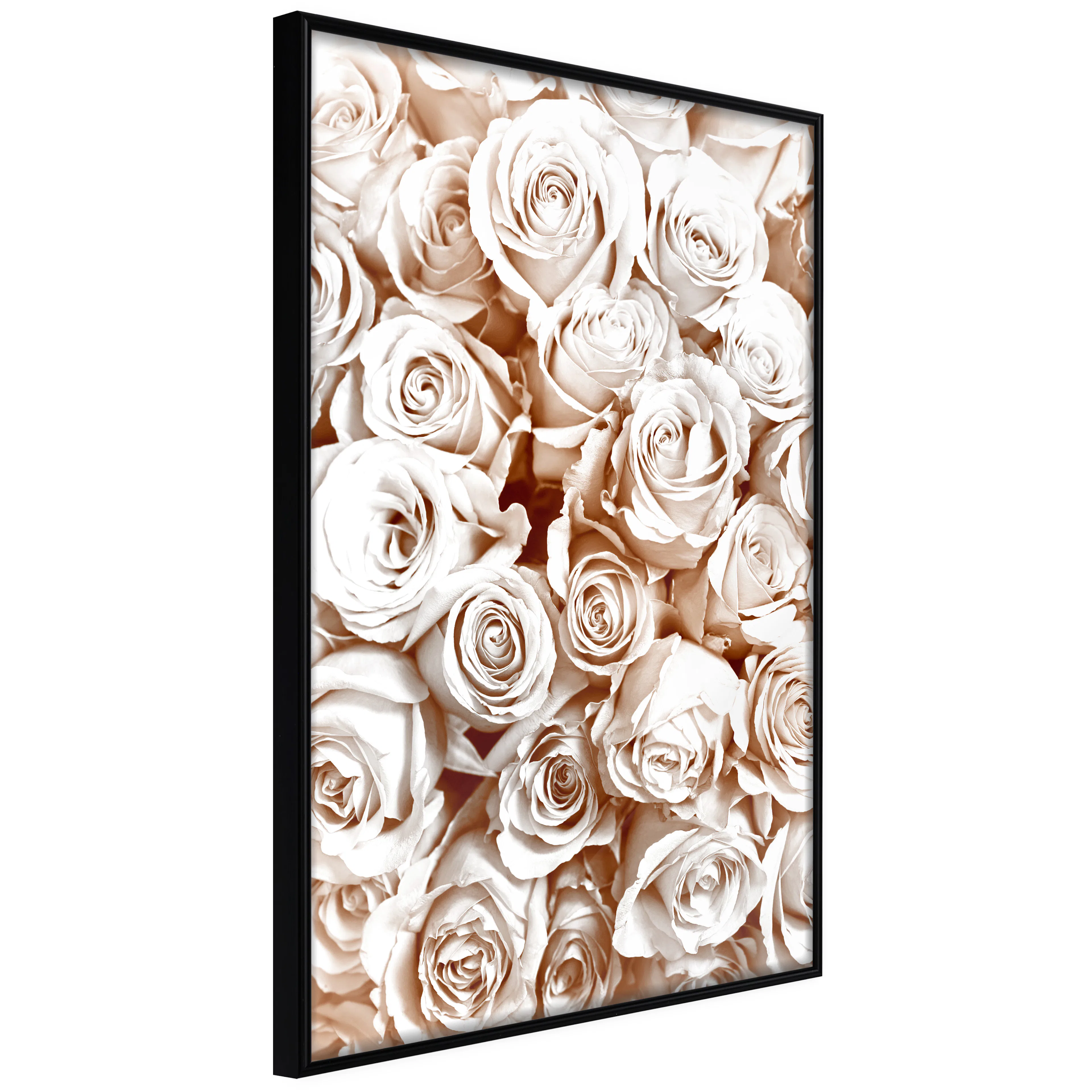 Affisch - Rose Garden [Poster] 40x60 Svart ram, 40x60 cm