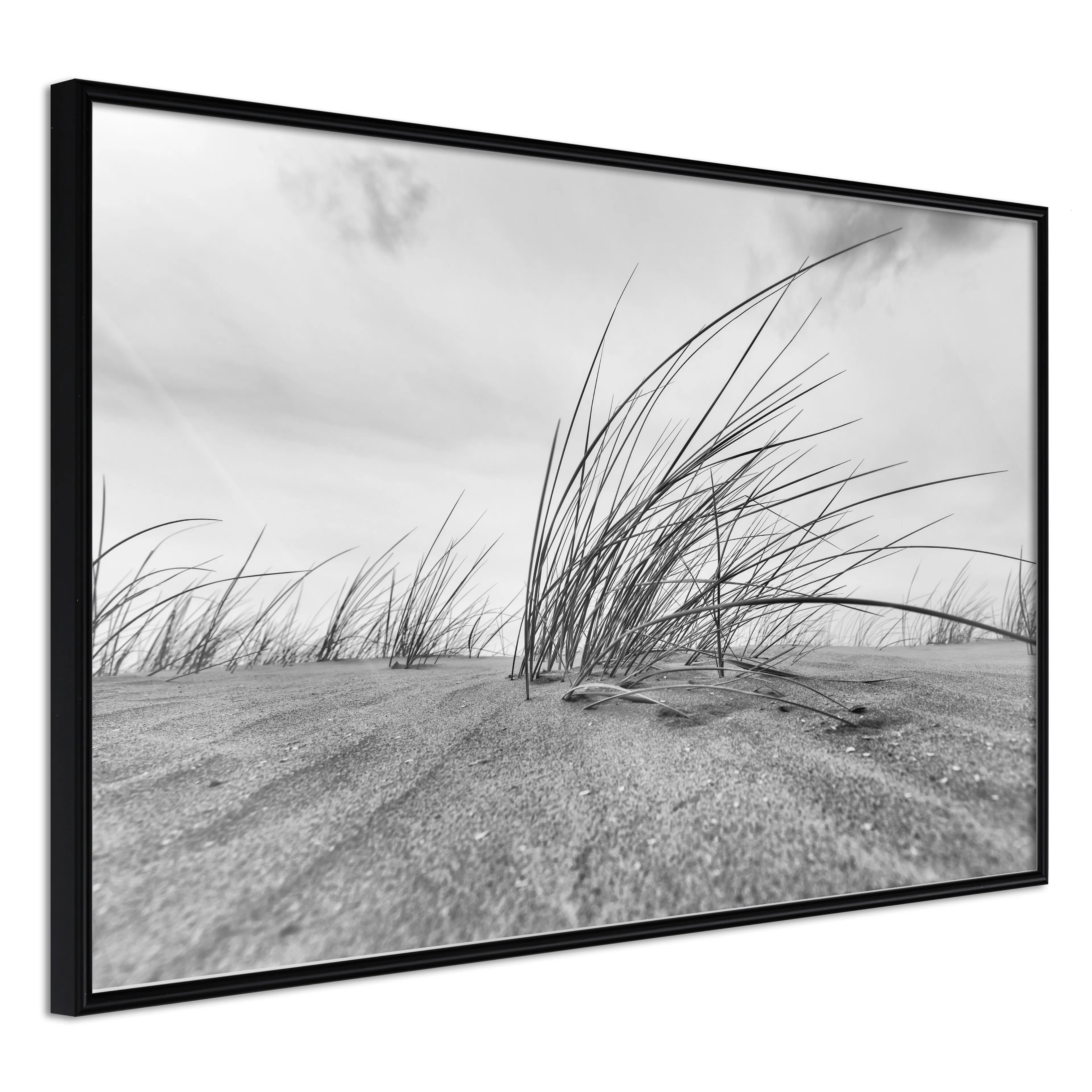 Affisch - Seaside Reed [Poster] 60x40 Svart ram, 60x40 cm
