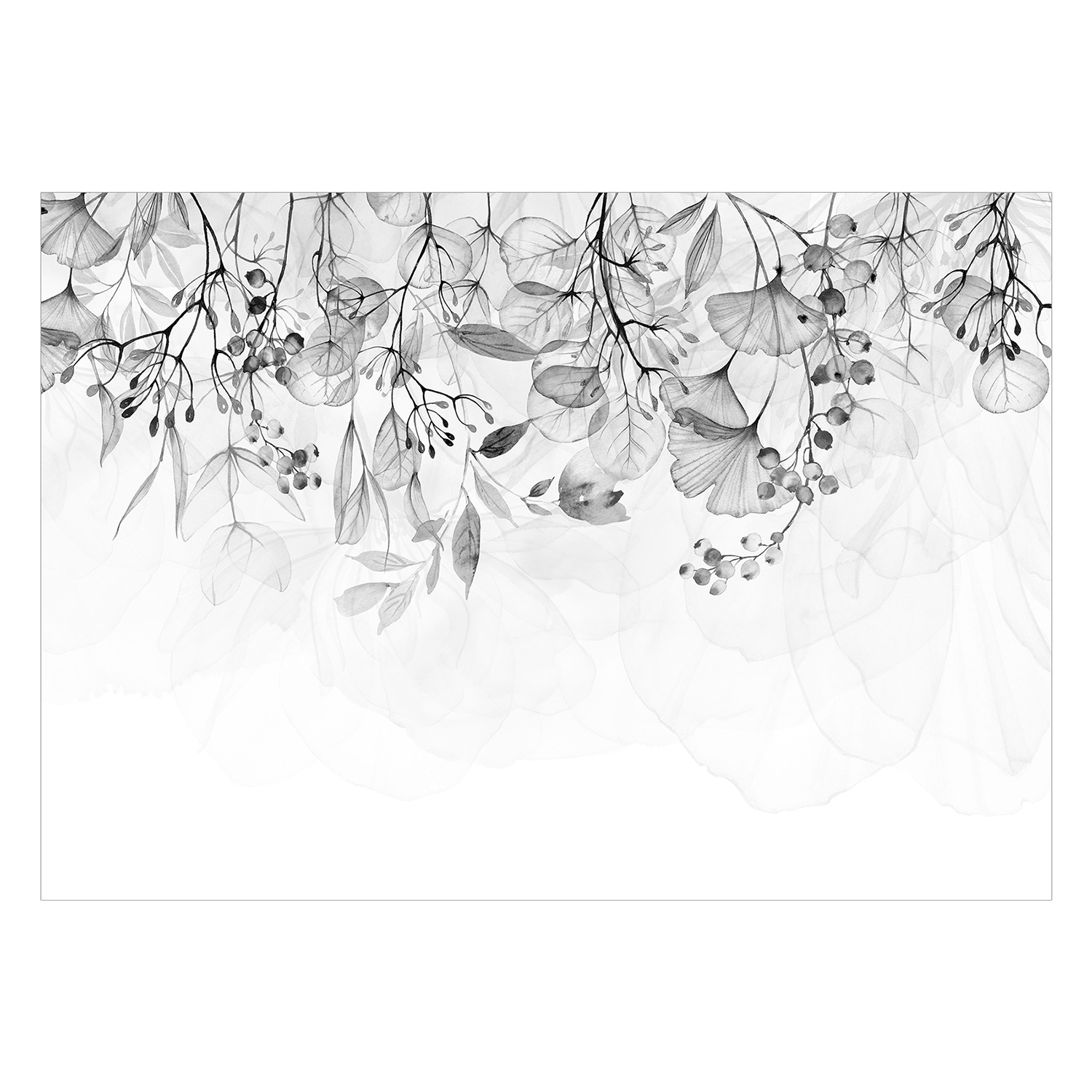 Fototapet Arkiio Foggy Nature Arkiio Grey