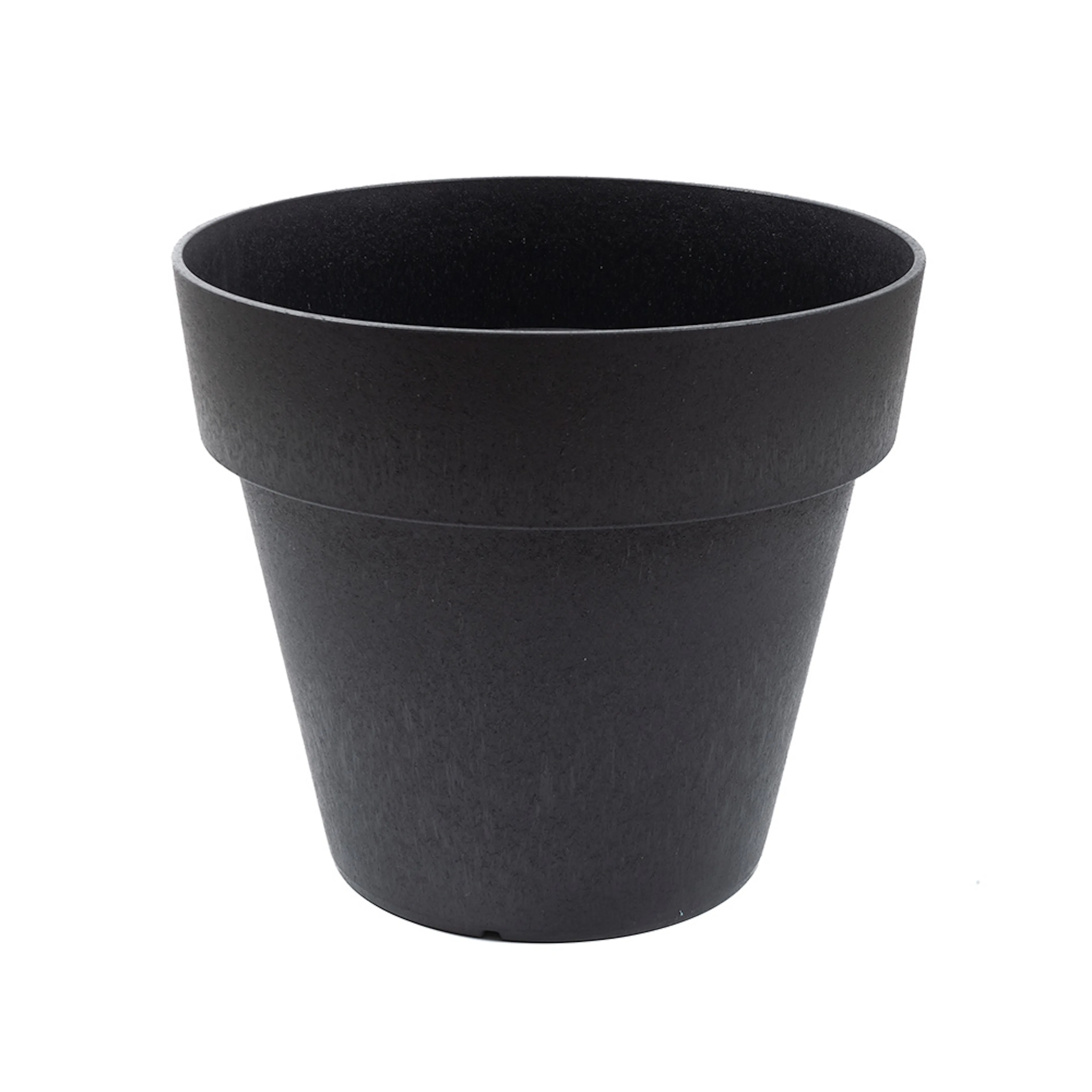 Blomkruka Recal Bariton