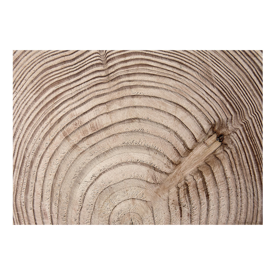 Fototapet Arkiio Wood Grain
