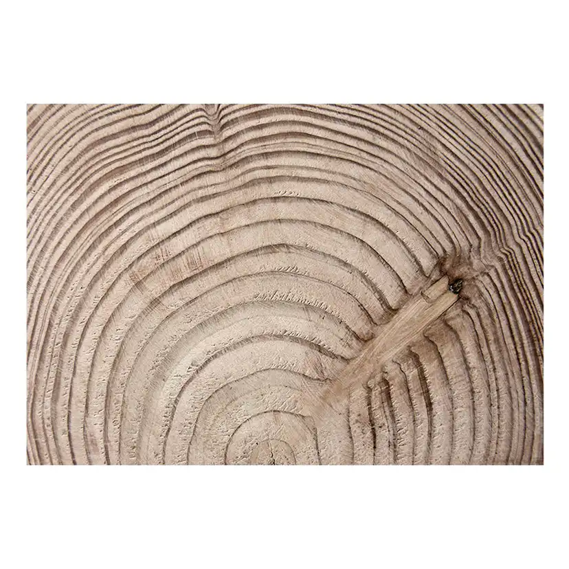 Fototapet Arkiio Wood Grain